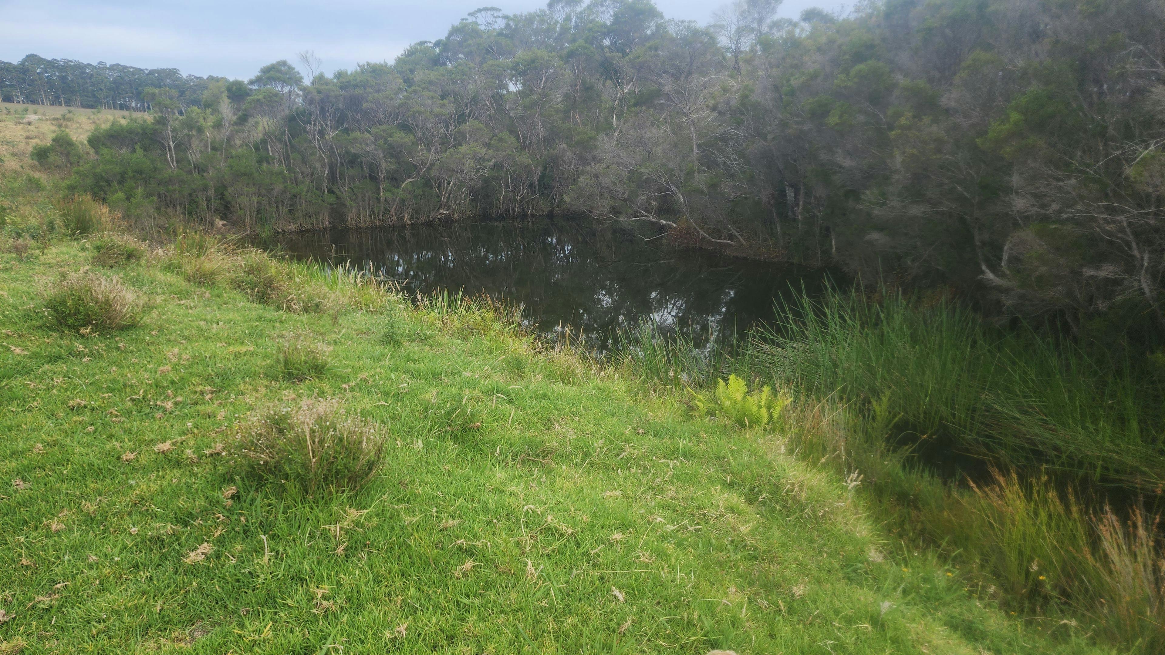 Site 2