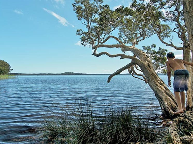 Wells campground, Myall Lakes National Park. Photo: John Spencer/NSW Government