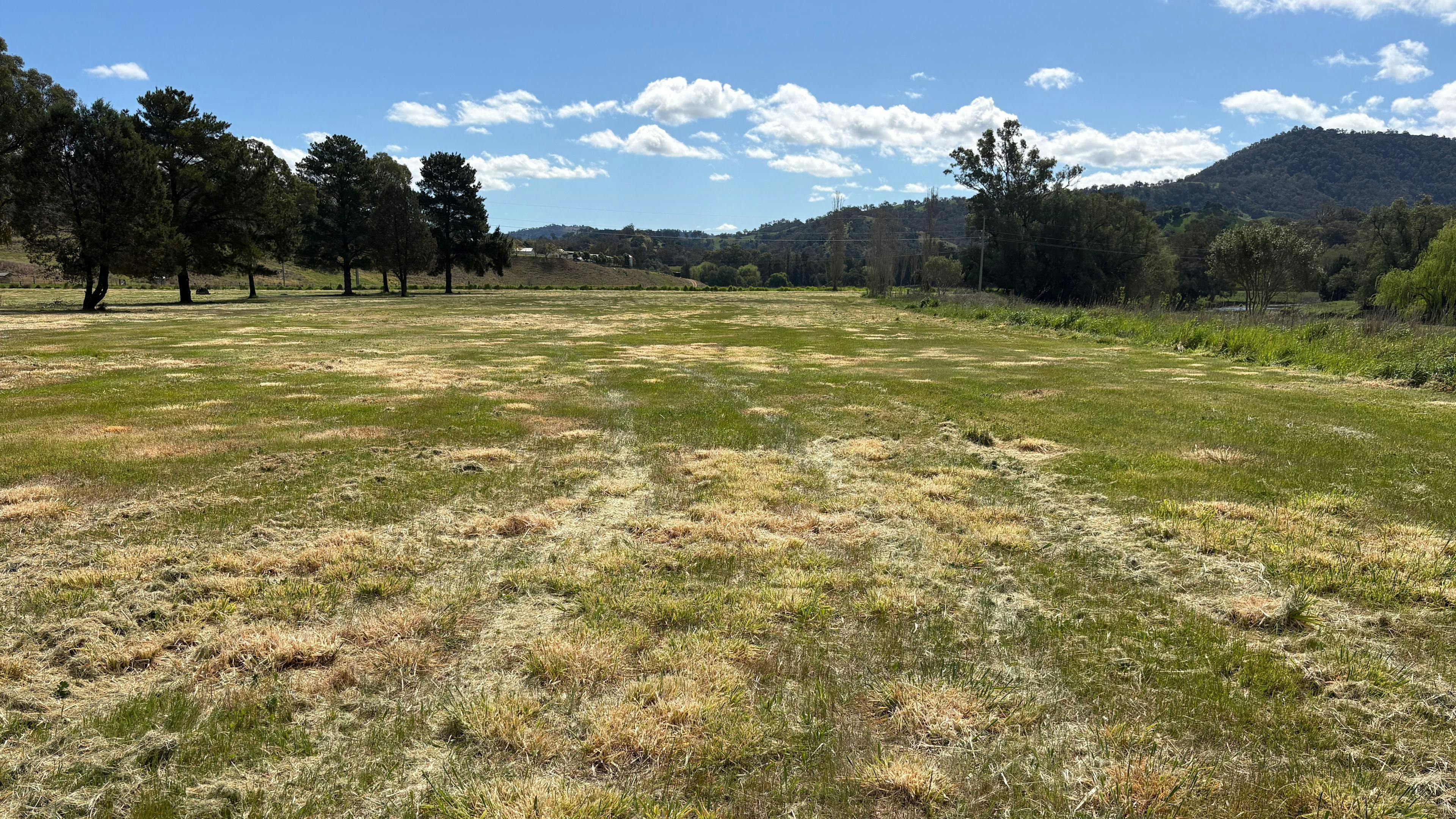 ‘The Willows’ 8 Acres