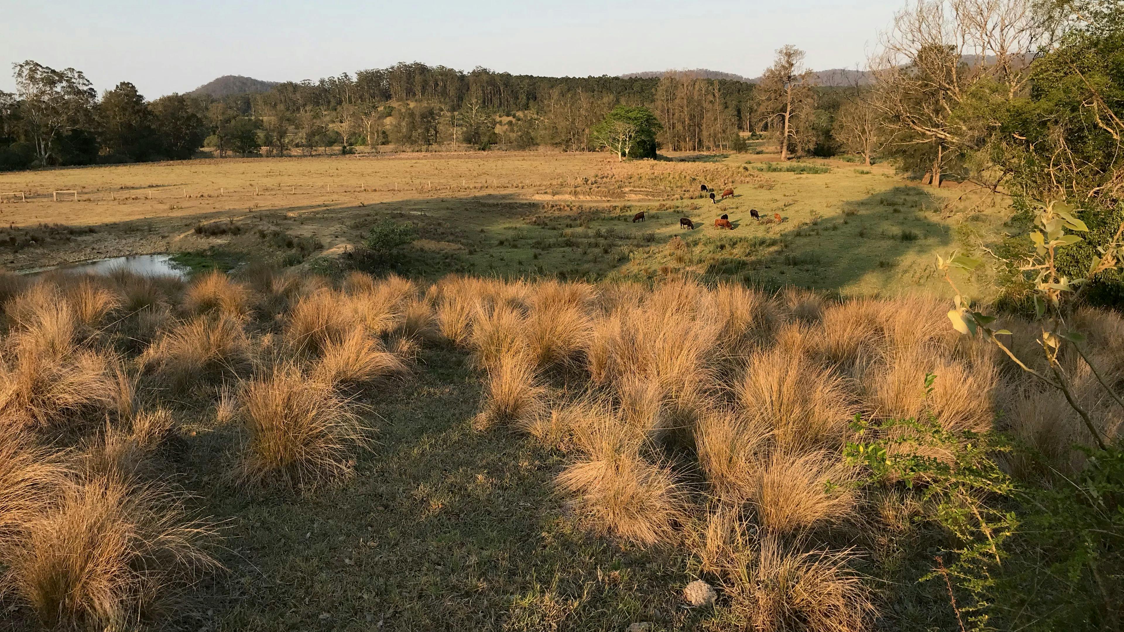 The Woodlands Place NSW Holidays & Things to Do