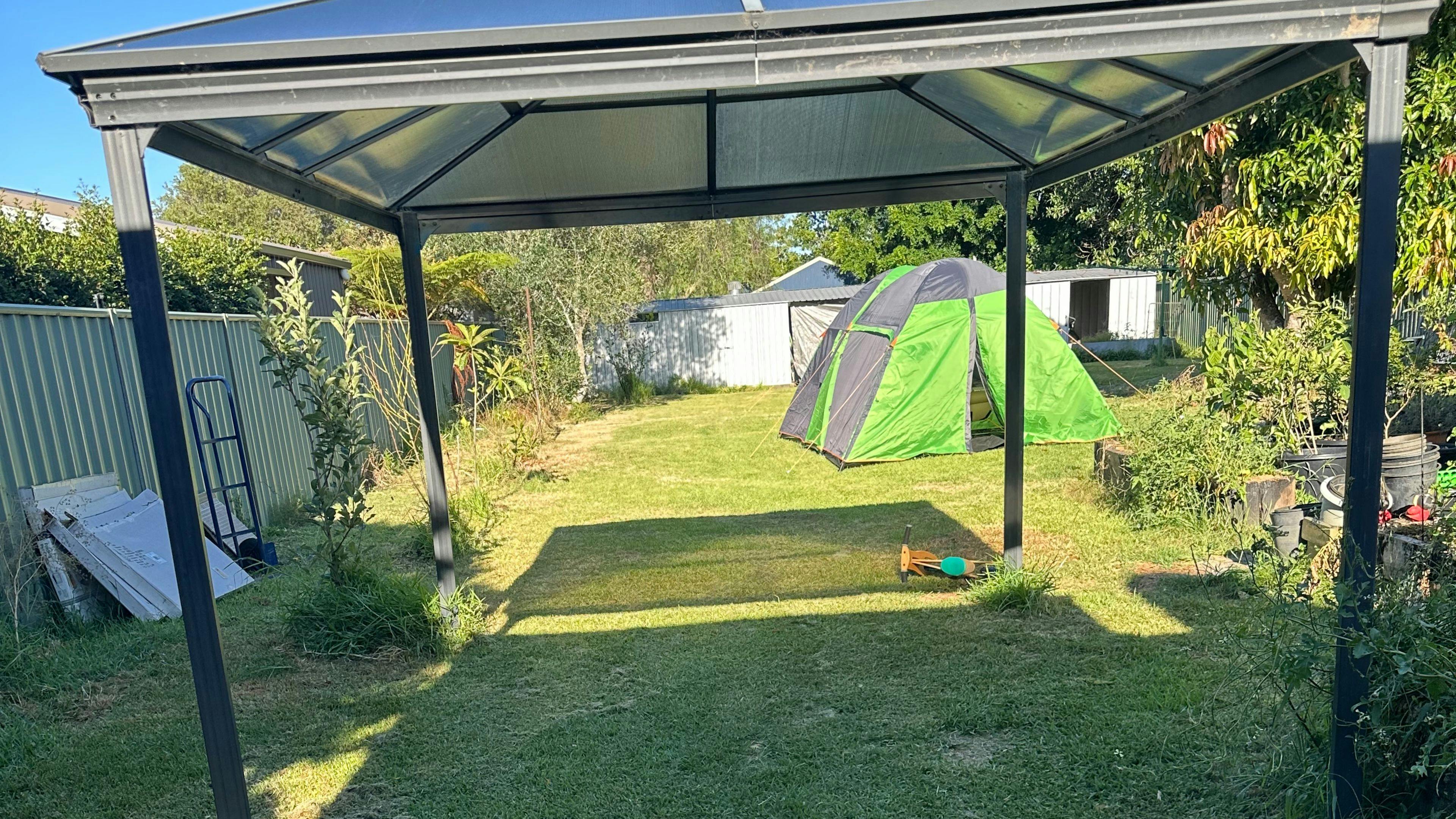 Therapy Animals Park