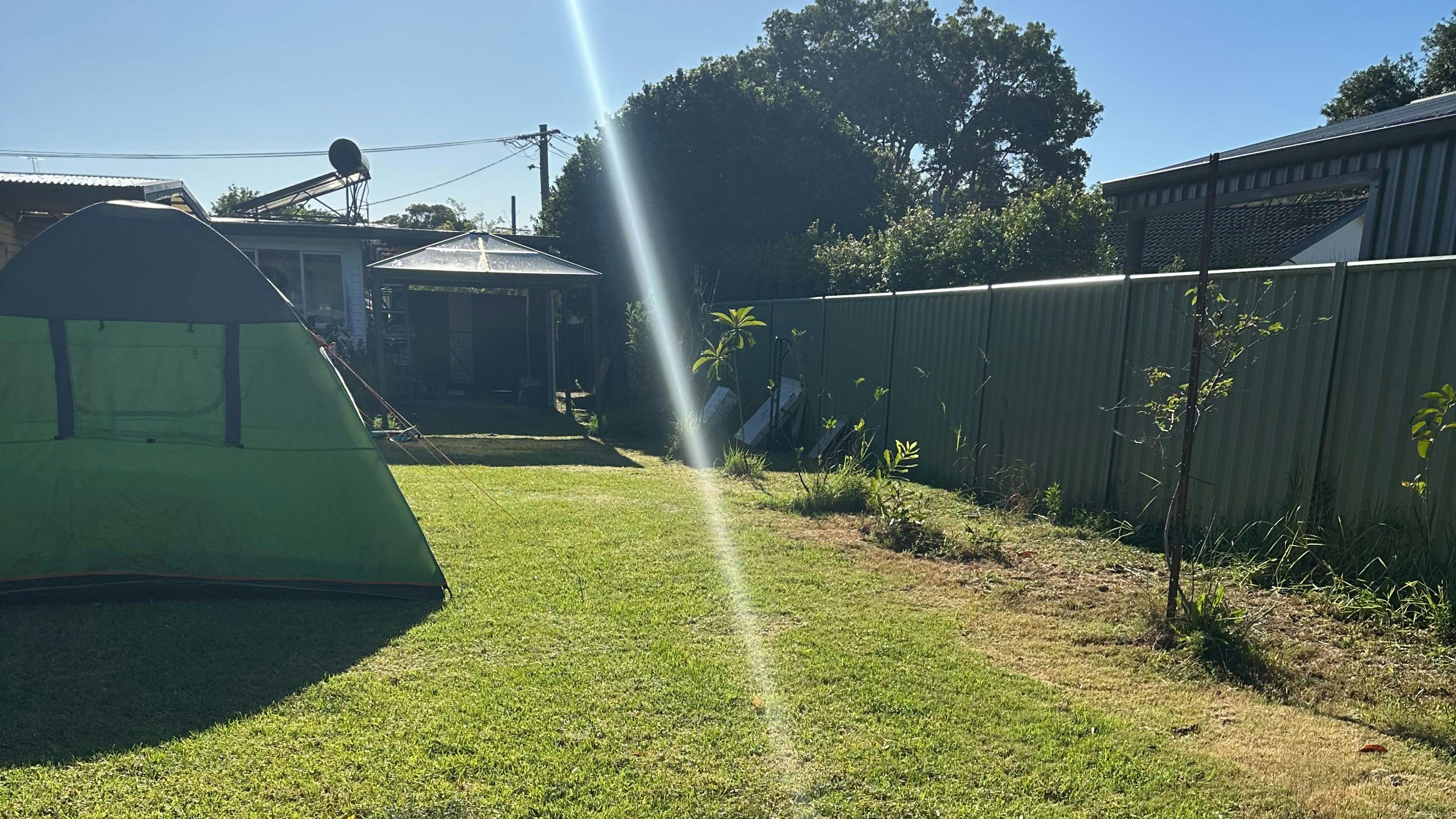 Therapy Animals Park