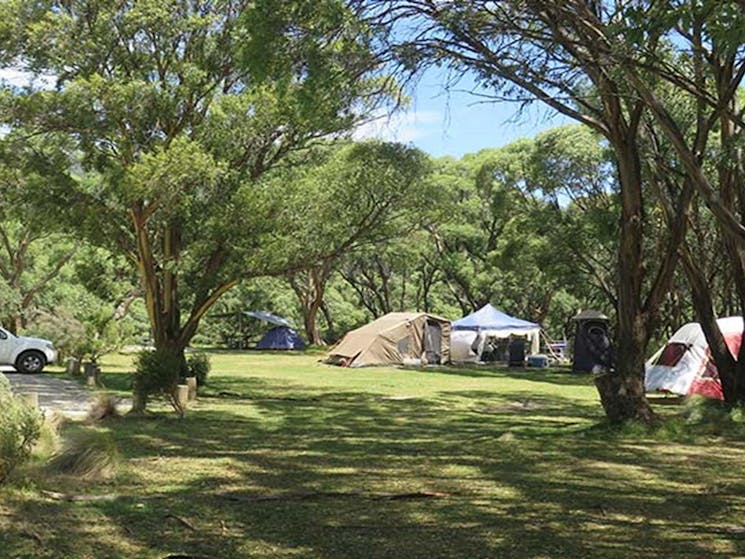 Tent campsites at Thredbo Diggings campground in Kosciuszko National Park. Photo: E sheargold/OEH