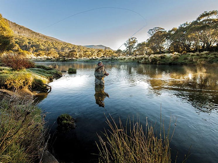 A fly fisherman casting his fly in the Thredbo river. Photo:Murray Vanderveer Copyright:NSW