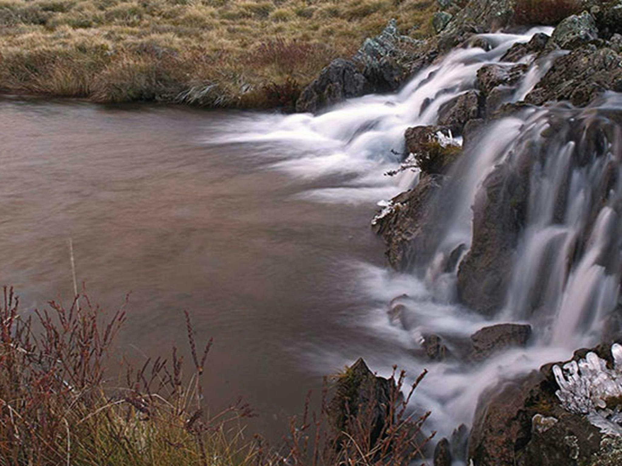 Three Mile Creek, near Kiandra, Kosciuszko National Park. Photo: Stuart Cohen/DPIE