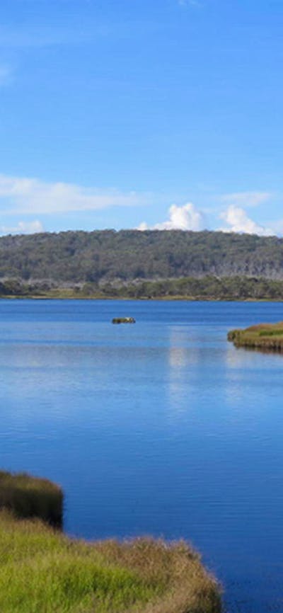 Three Mile Dam campground, Kosciuszko National Park. Photo: Elinor Sheargold/DPIE