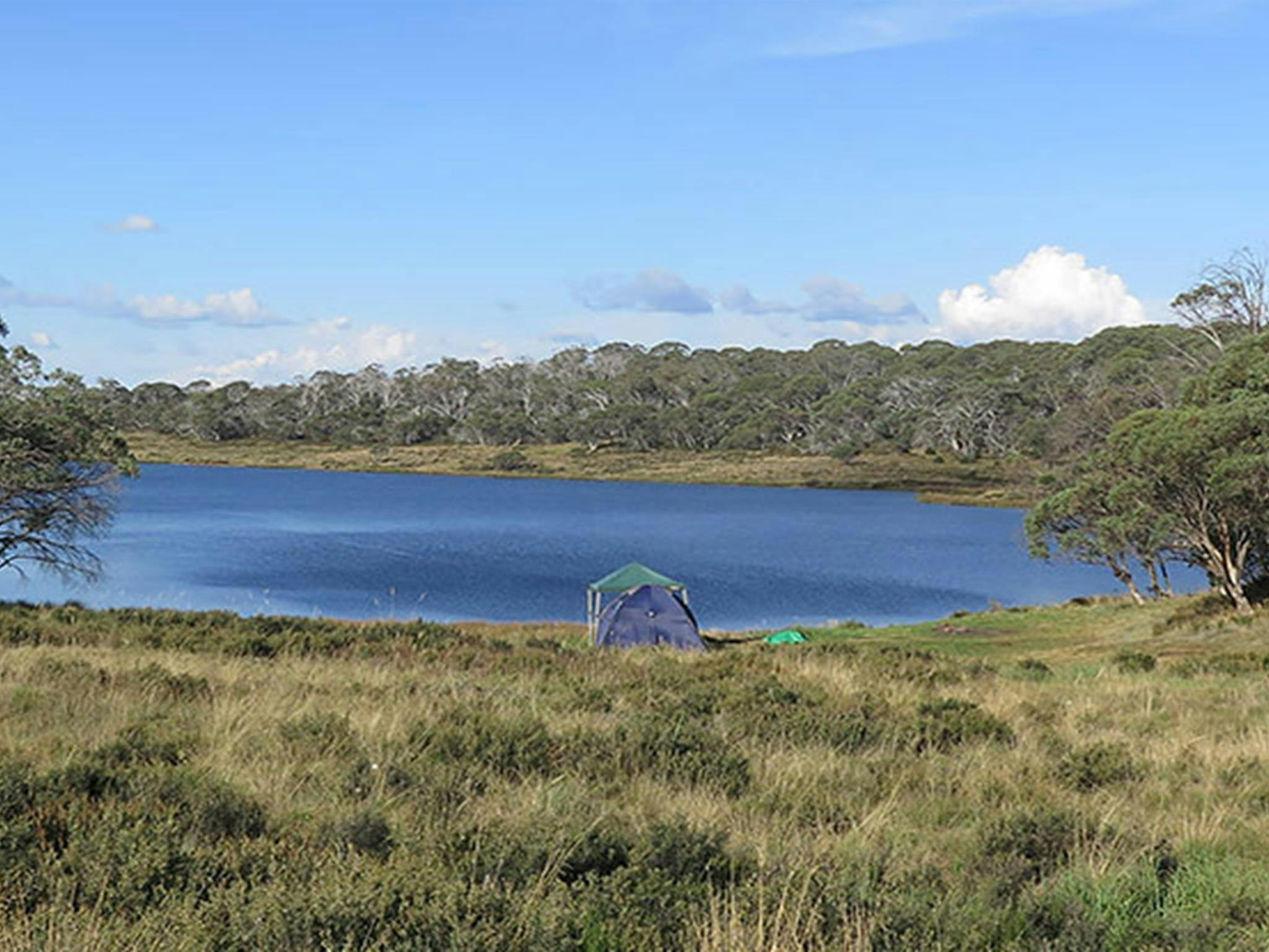 Three Mile Dam campground, Kosciuszko National Park. Photo: Elinor Sheargold/DPIE