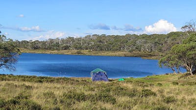 Three Mile Dam campground, Kosciuszko National Park. Photo: Elinor Sheargold/DPIE