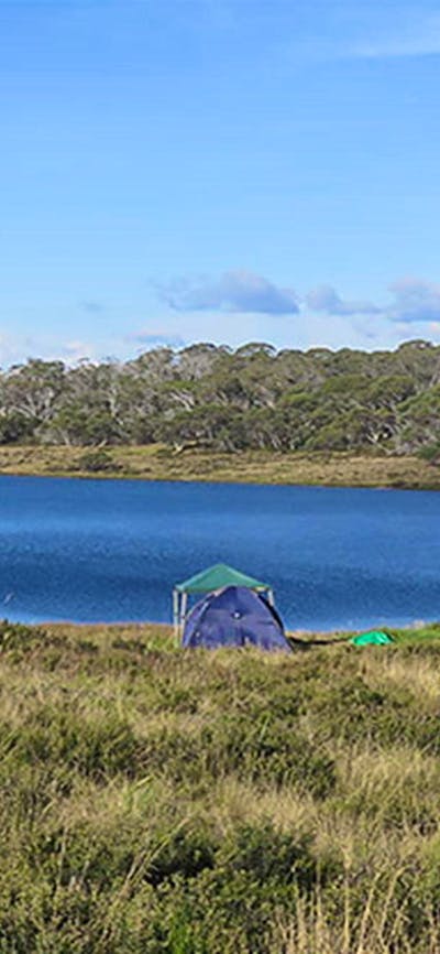 Three Mile Dam campground, Kosciuszko National Park. Photo: Elinor Sheargold/DPIE