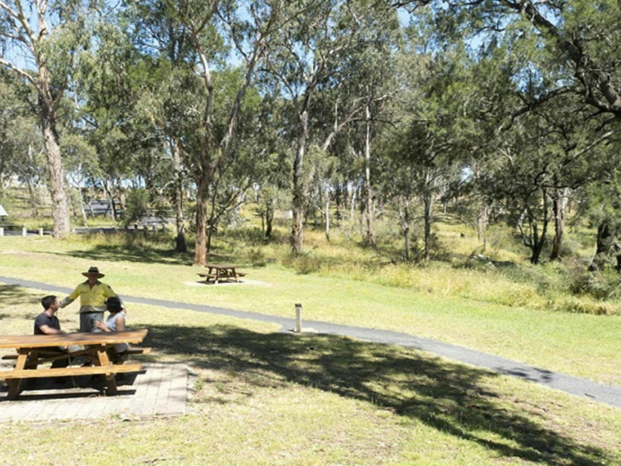 Picnickers chat with an NPWS staff member at Threlfall picnic area. Photo: Leah Pippos &copy;DPIE