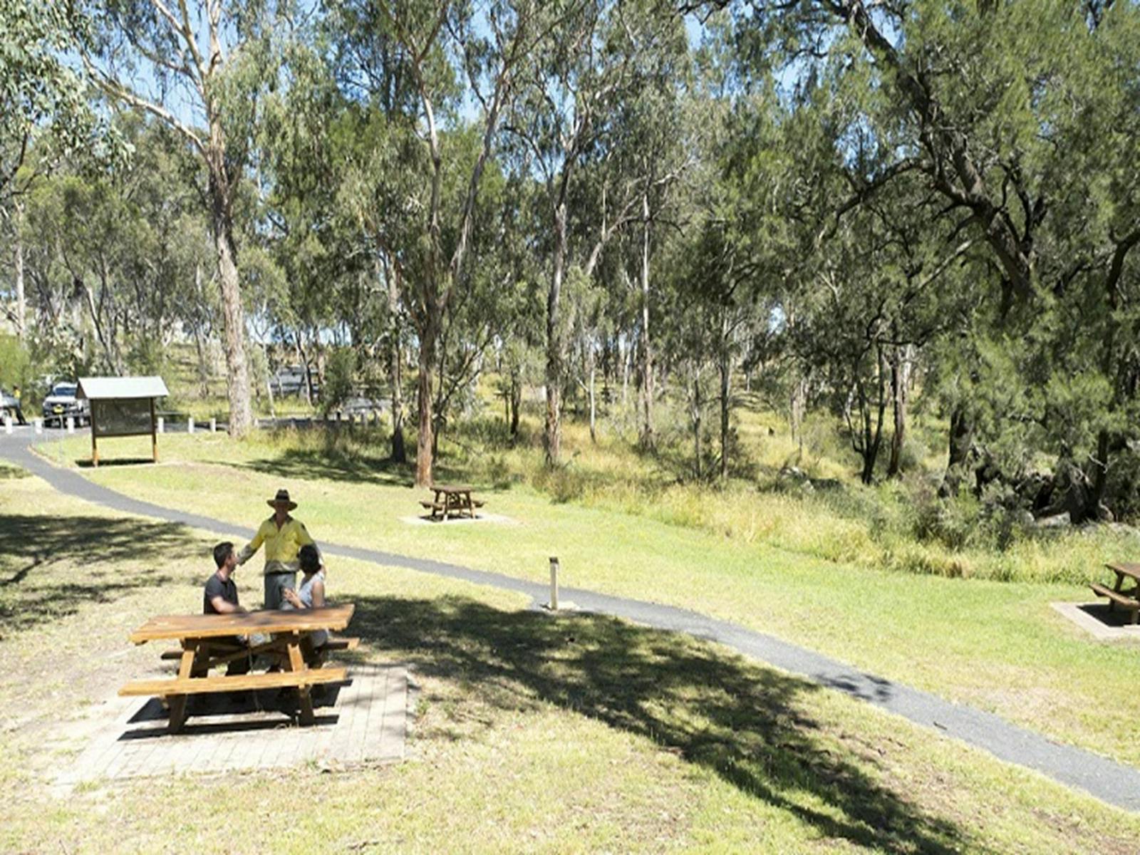Picnickers chat with an NPWS staff member at Threlfall picnic area. Photo: Leah Pippos ©DPIE
