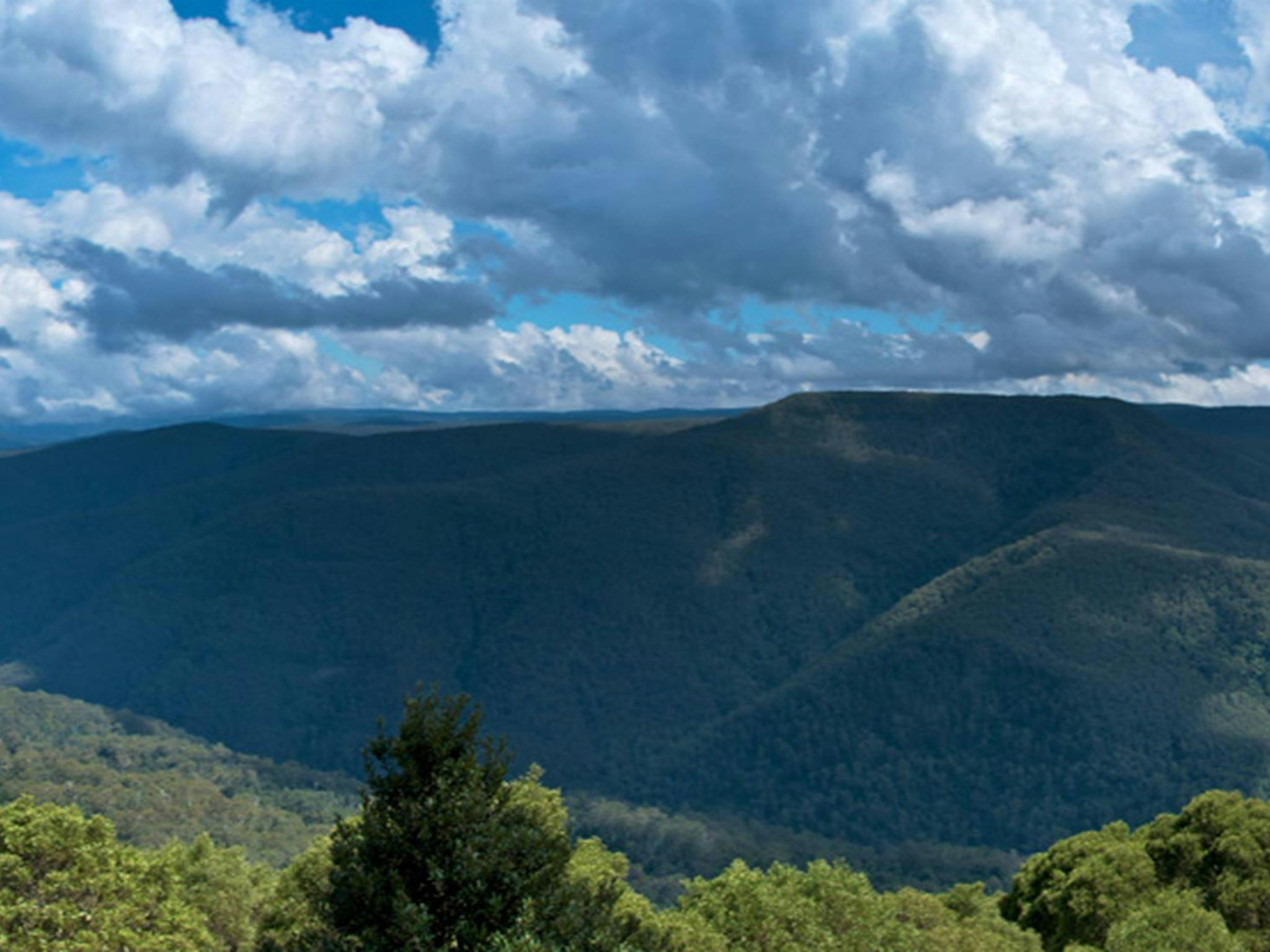Thunderbolts lookout walk, Barrington Tops National Park. Photo: John Spencer