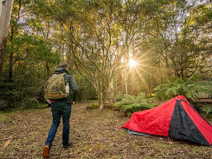 Man heading off on walk from his campsite in New England National Park. Photo: John Spencer/OEH