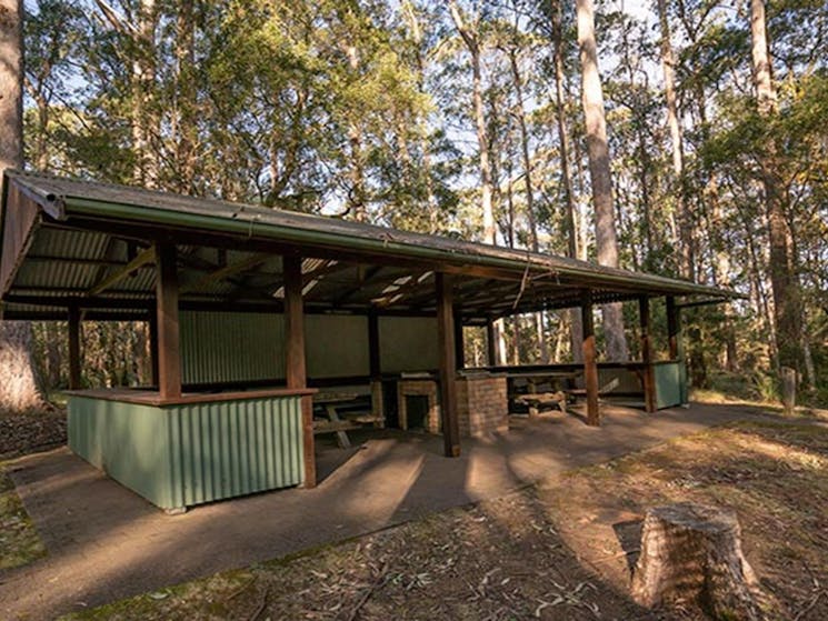 Barbecue shelter at Thungutti campground in New England National Park. Photo: John Spencer/OEH