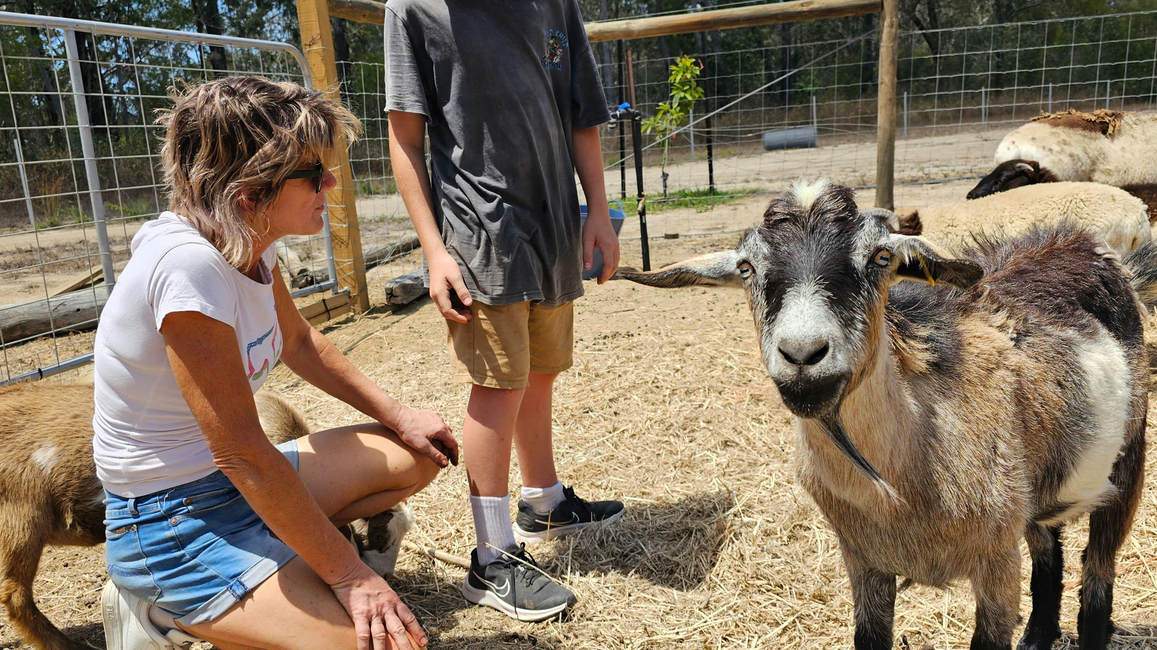 Thyme Travellers Farm Stay