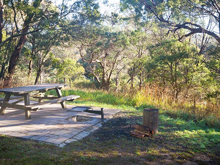 A picnic table and fire pit at Tia Falls campground, Oxley Wild Rivers National Park. Photo: Robert