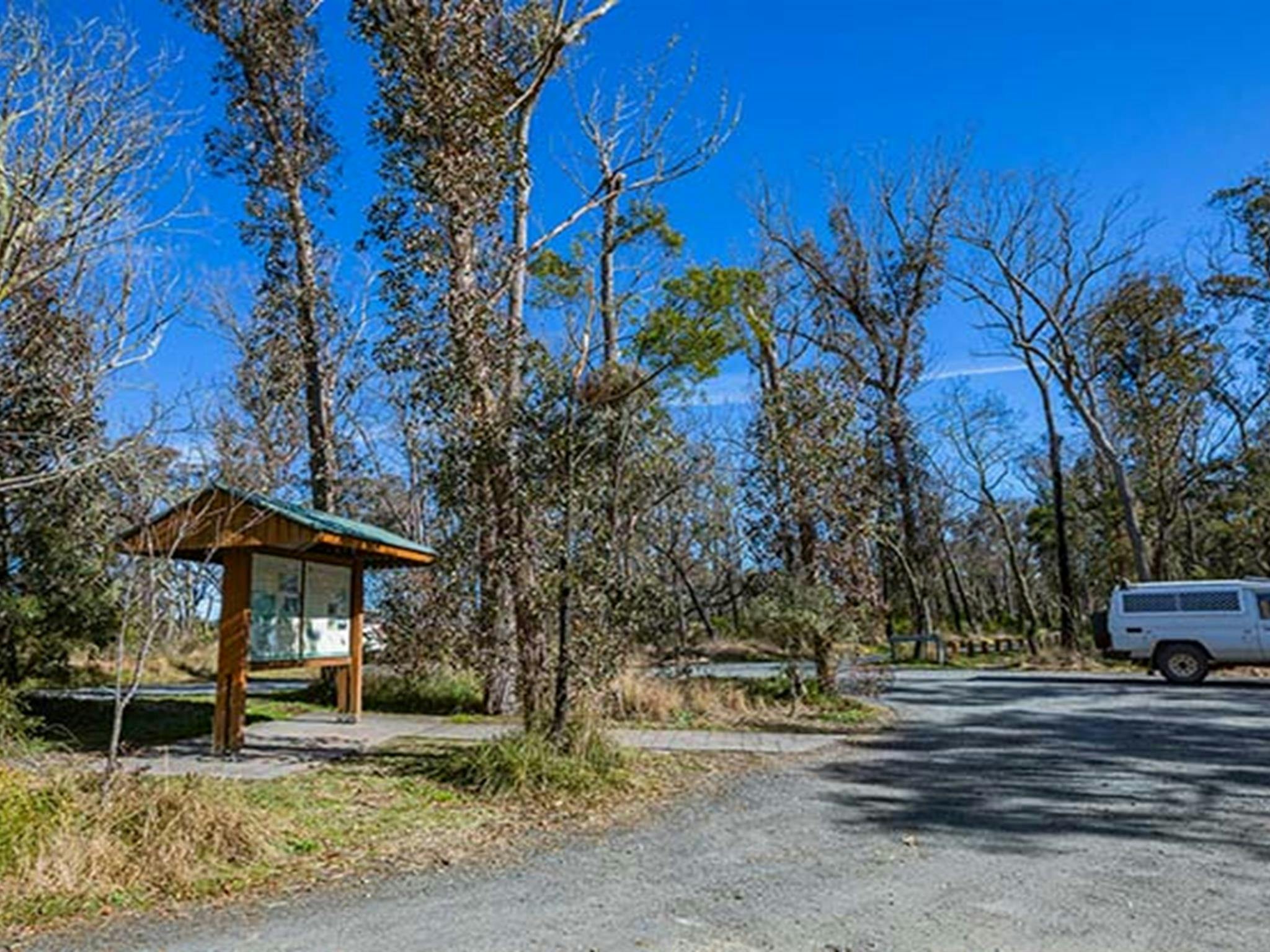 Tia Falls picnic area, Oxley Wild Rivers National Park. Photo: Josh Smith &copy; DPE