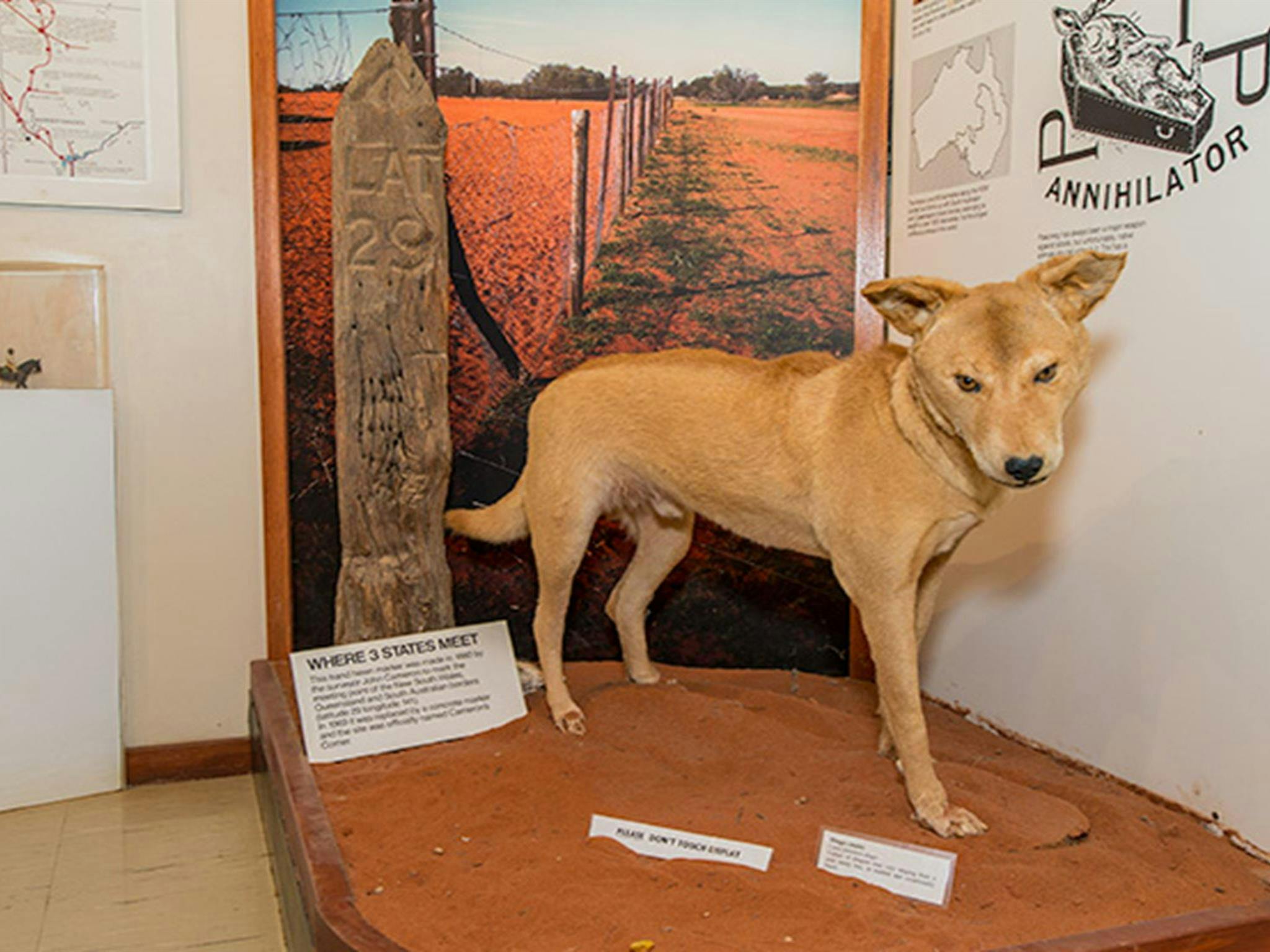 Tibooburra Visitor Centre, Sturt National Park. Photo: John Spencer &copy; OEH