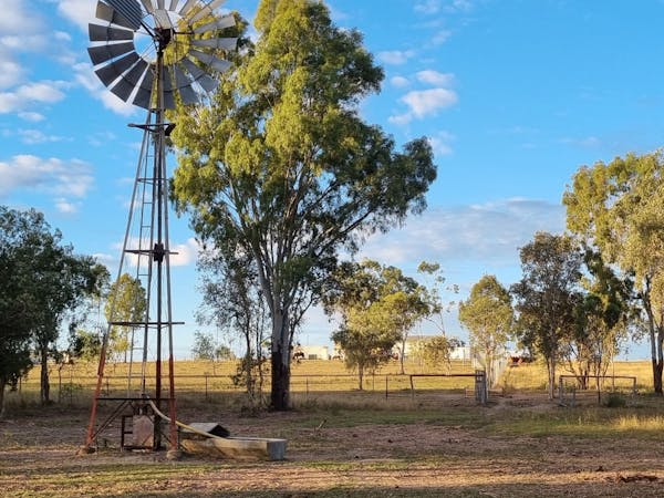 42 Beautiful peaceful Acres 