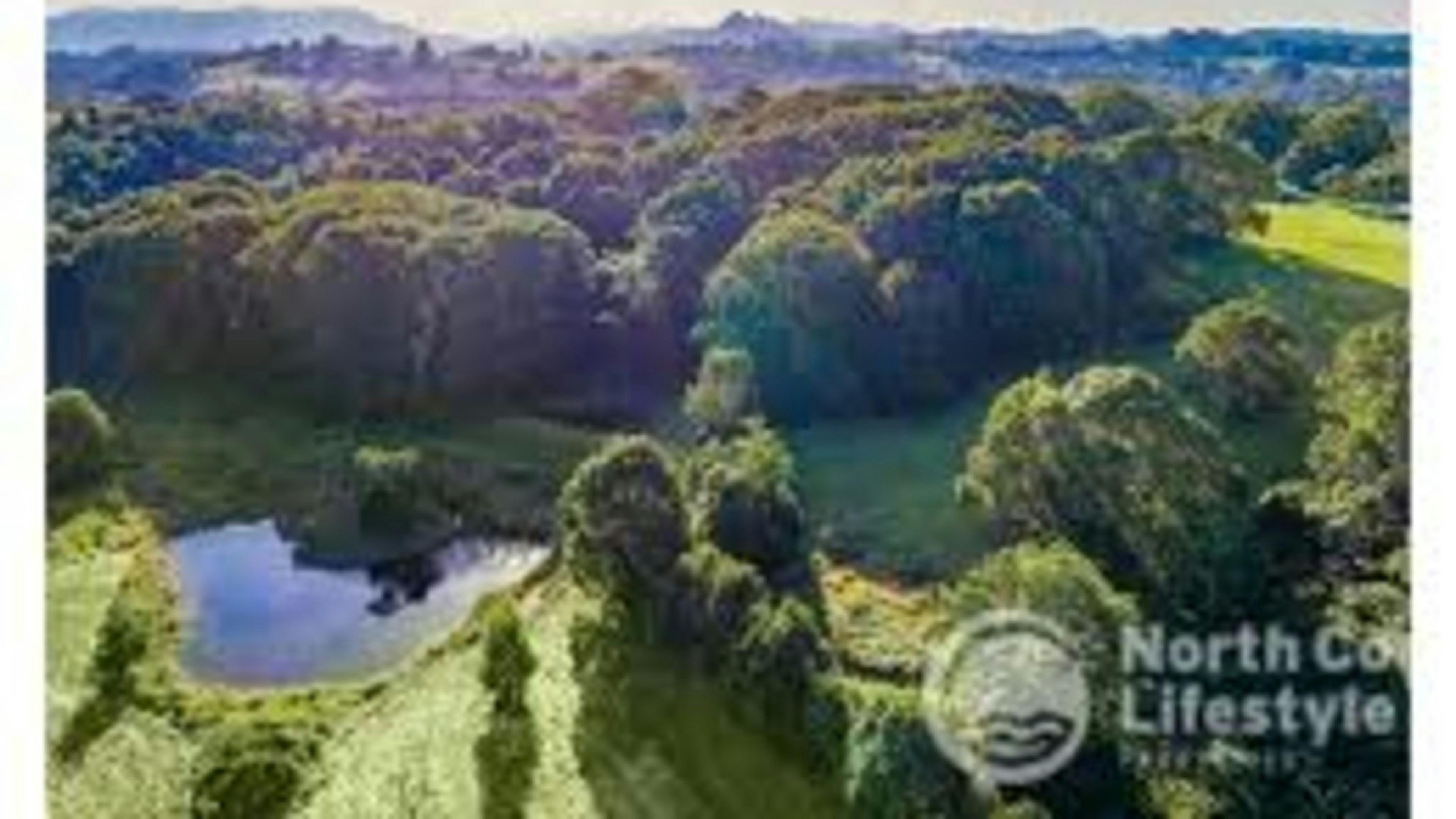 Tiger's Rest Byron Bay