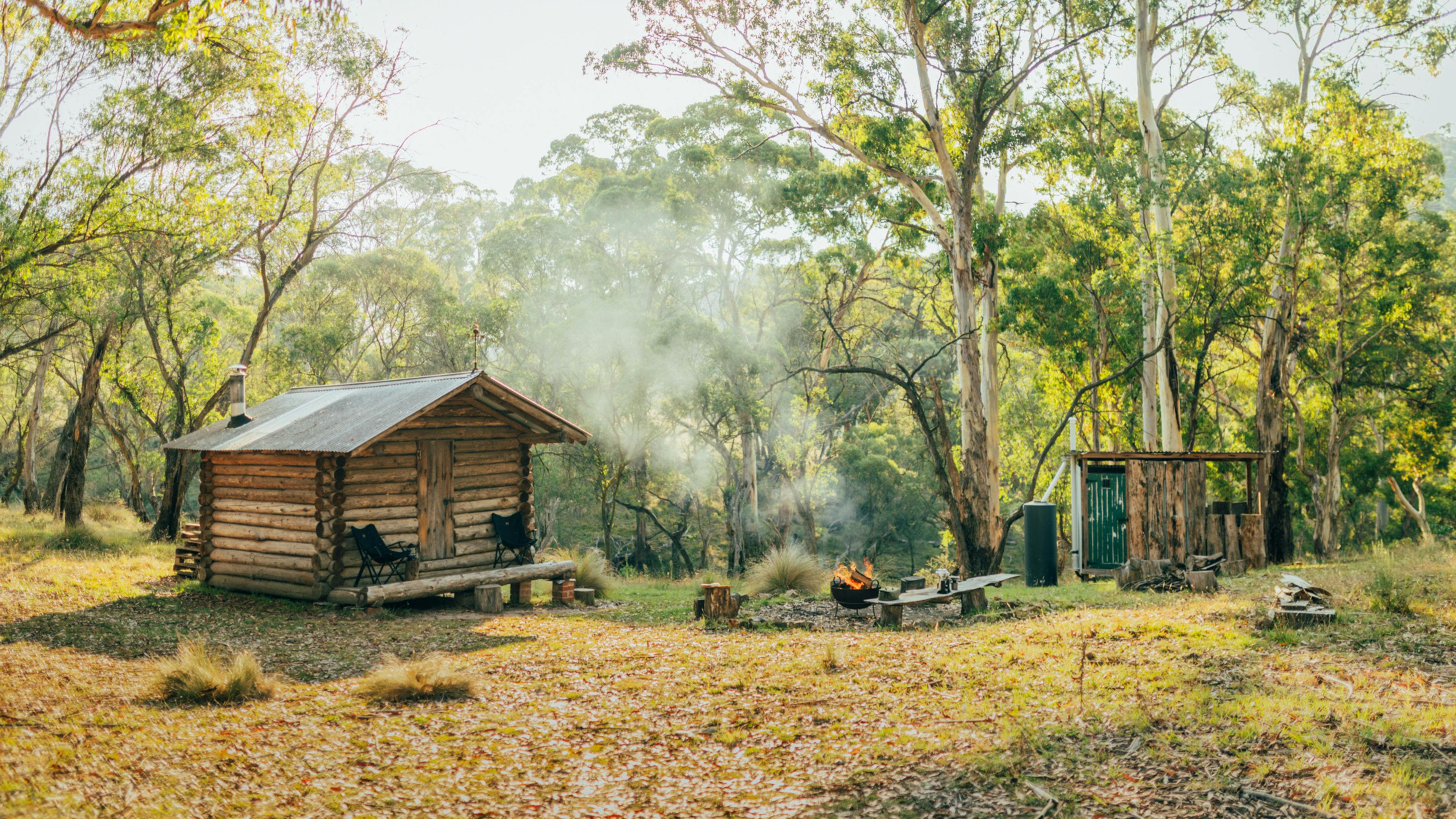 afternoon light at the cabin
