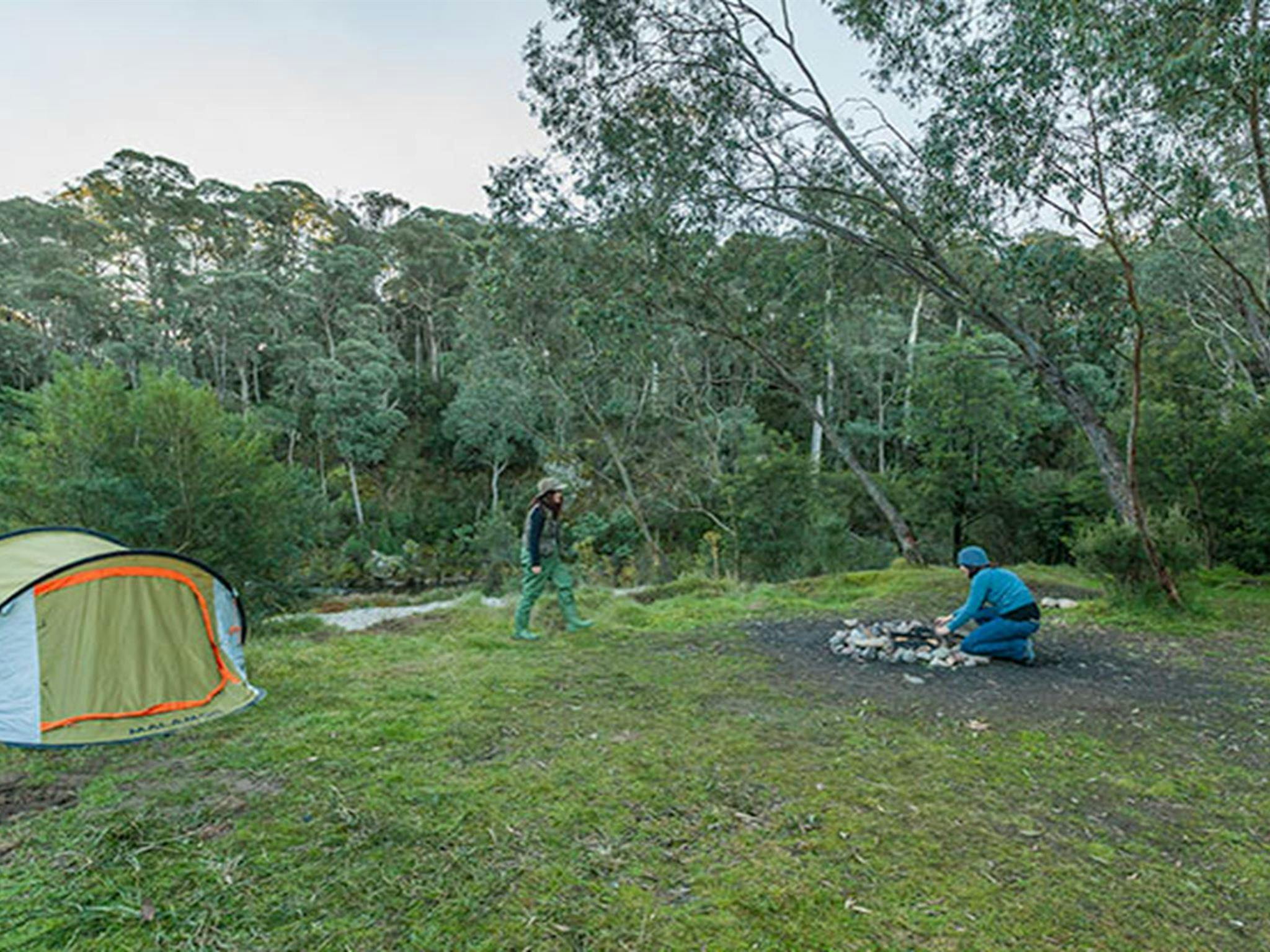 Tom Groggin campground, Koscisuzko National Park. Photo: Murray Vanderveer/NSW Government
