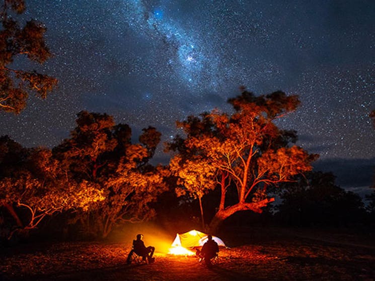 Campers and starry night skies at Darling River campground, Toorale National Park. Photo: Joshua