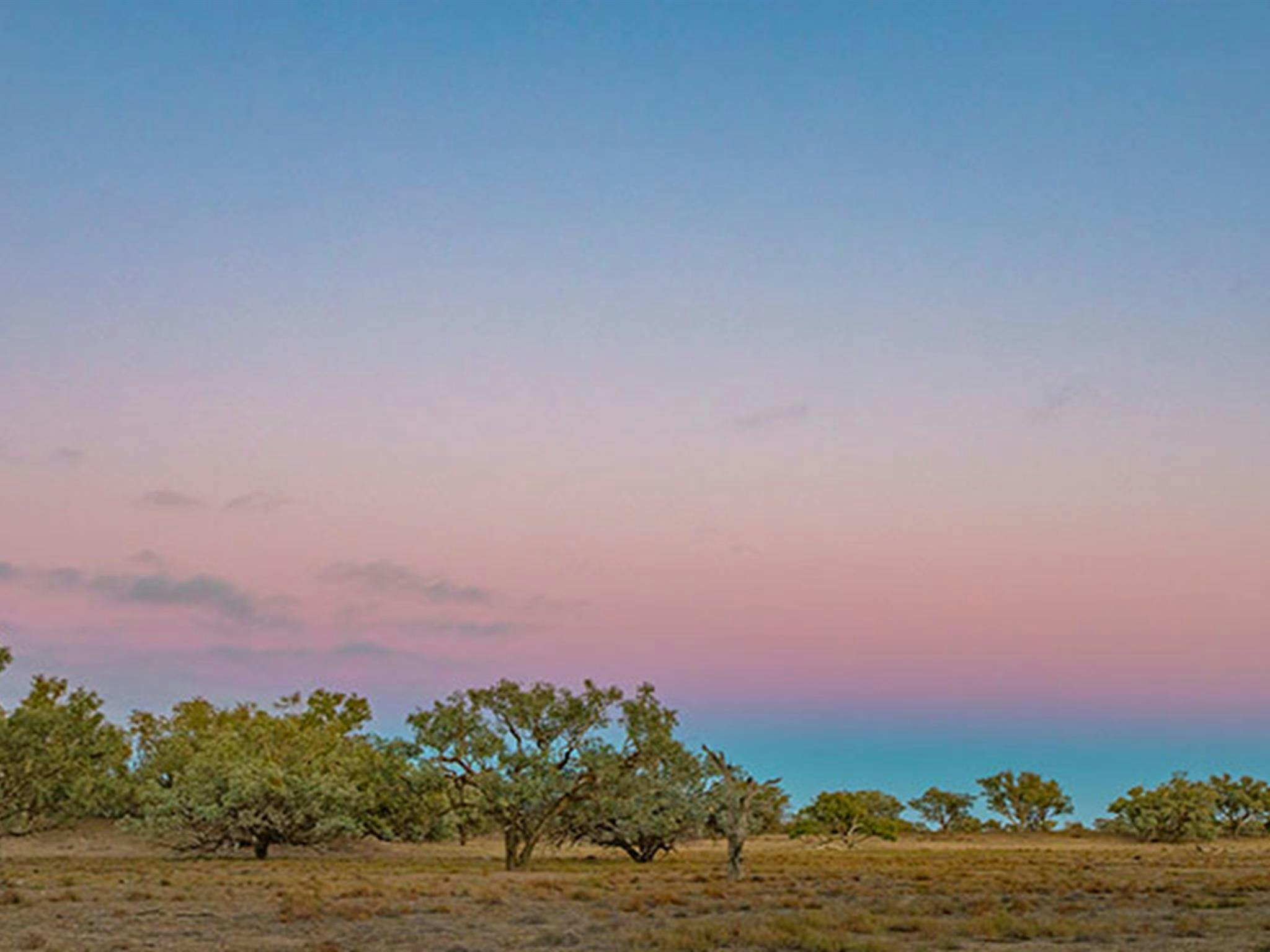 Toorale National Park. Photo: Joshua Smith/OEH