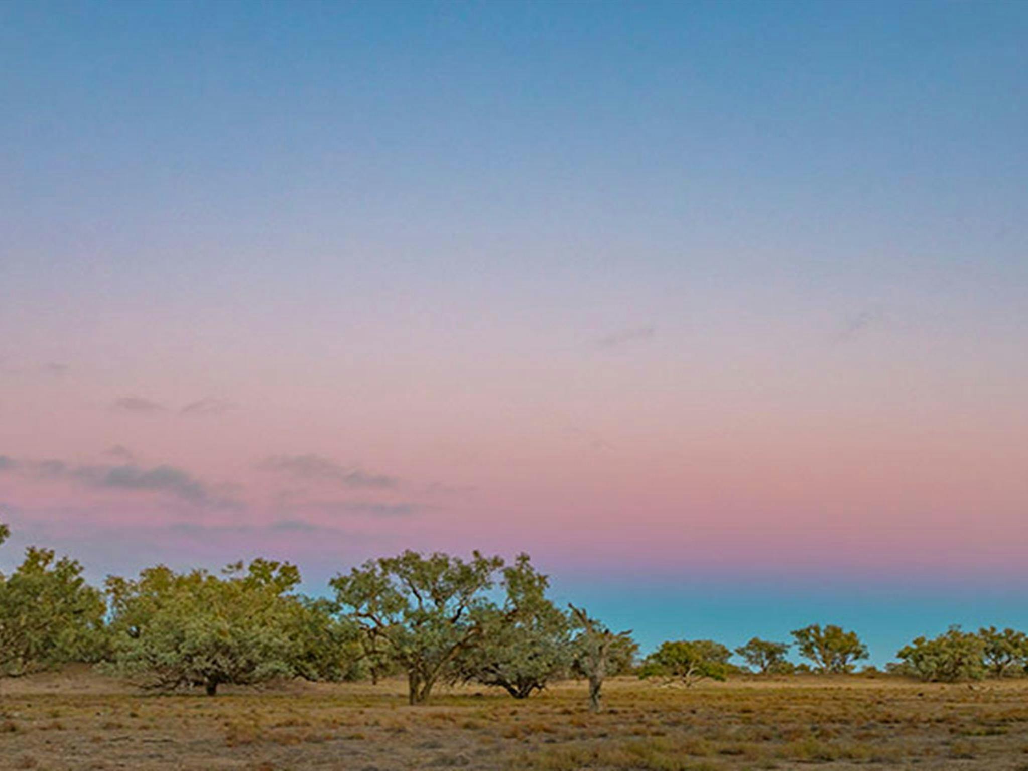 Toorale National Park. Photo: Joshua Smith/OEH