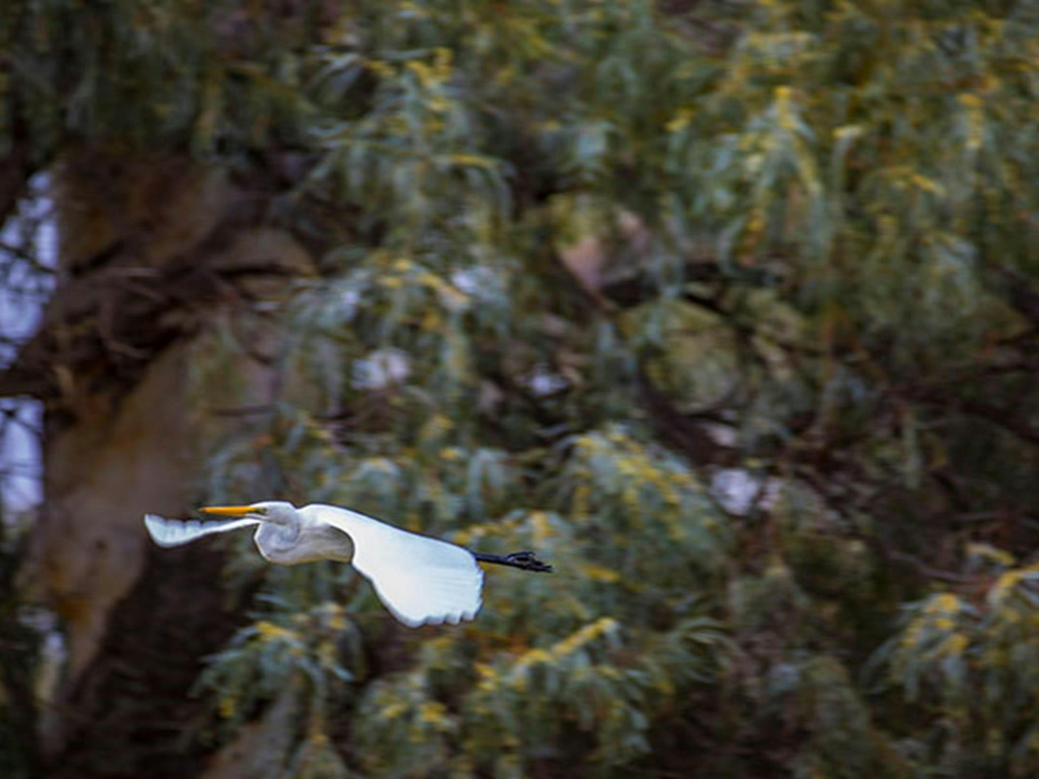 Toorale National Park
