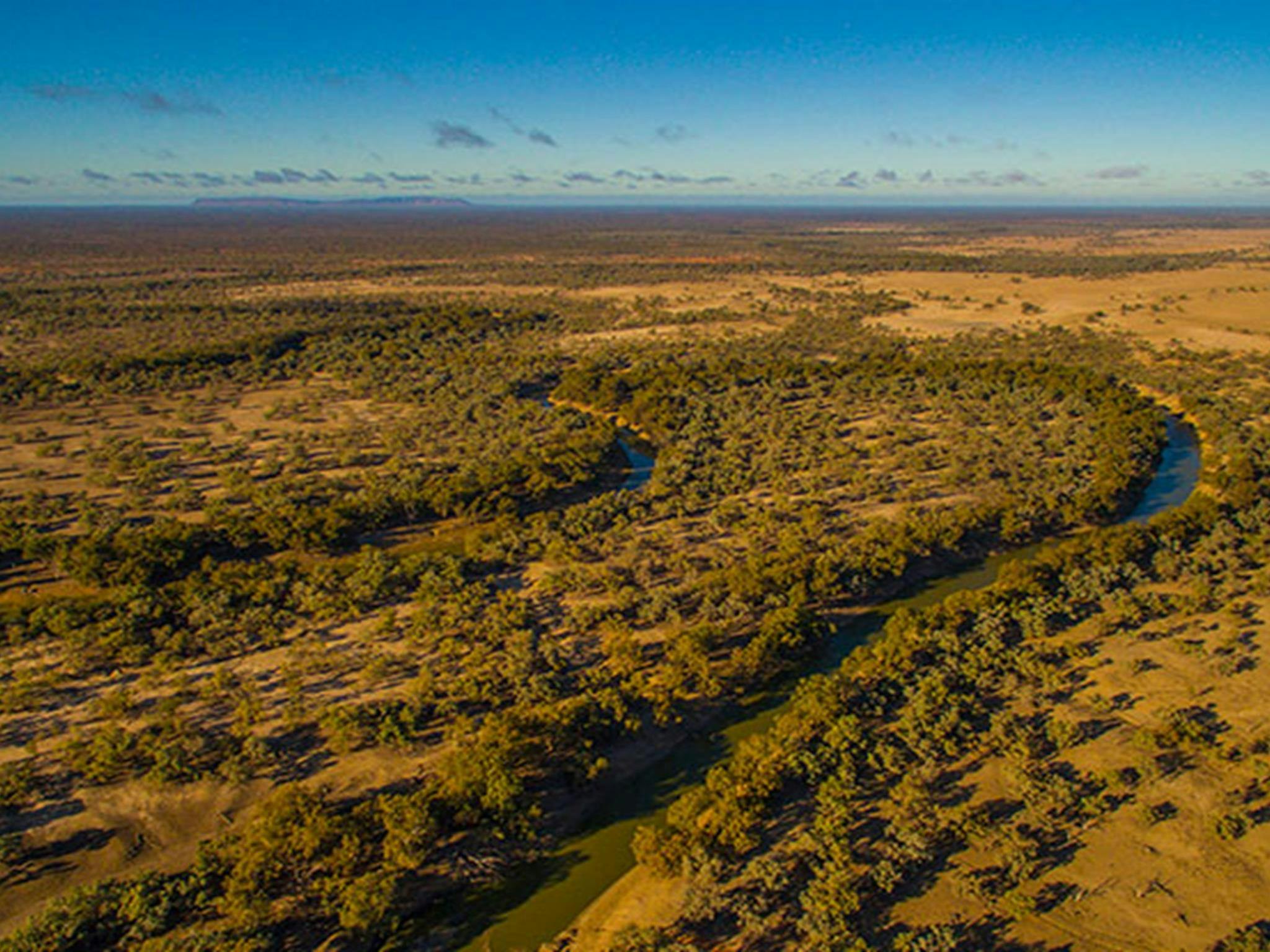 Aerial shot of Toorale National Park. Photo: Joshua Smith/OEH