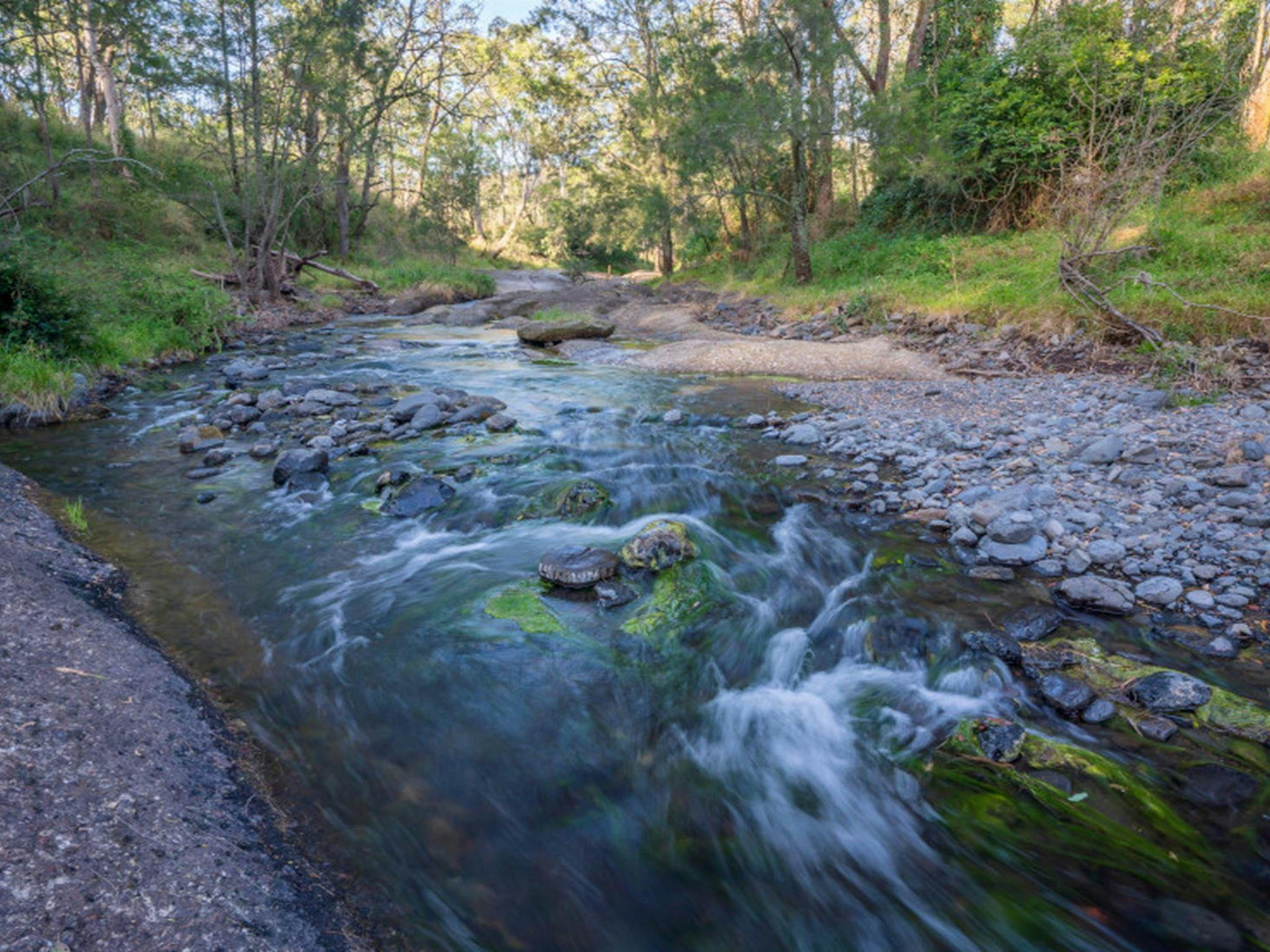 Water flowing along the Middle Brook in Towarri National Park. Photo: John Spencer &copy; DPE