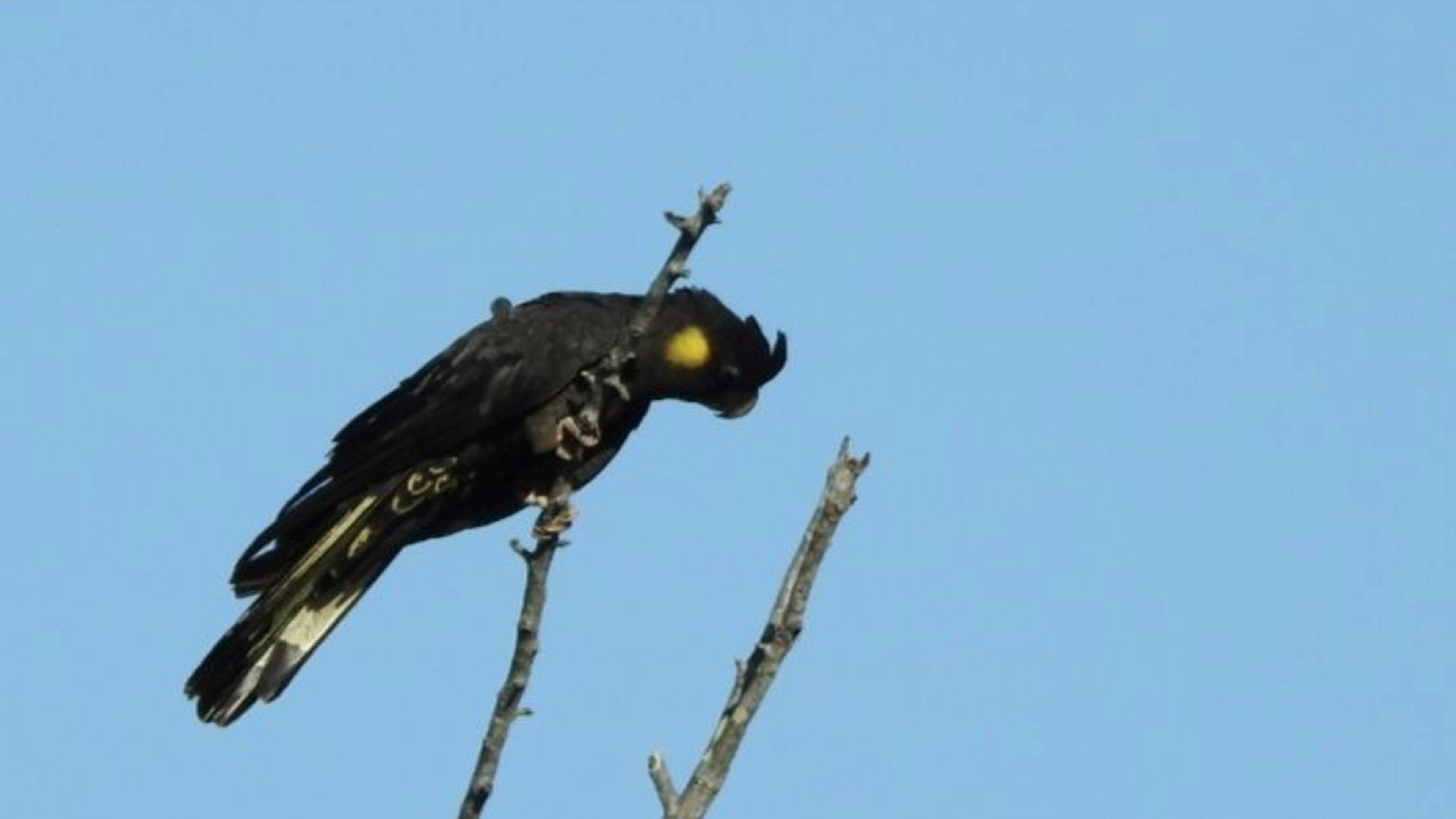 TerraLyra Sanctuary Retreat