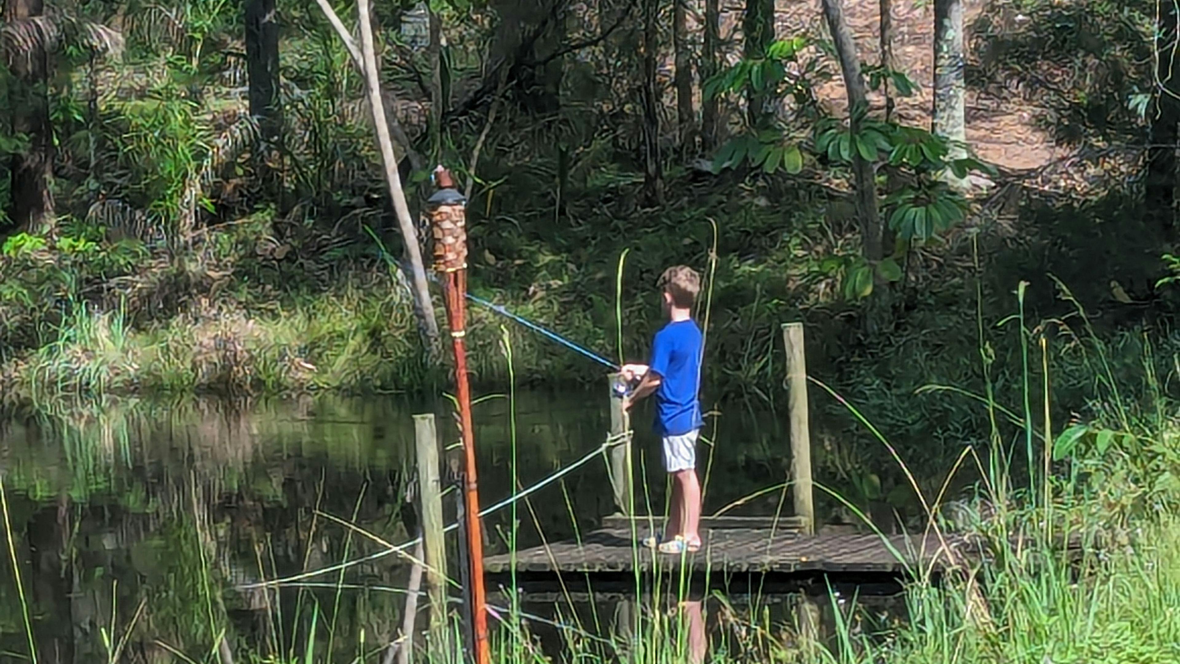 Tranquil Bush Retreat -  Sheldon