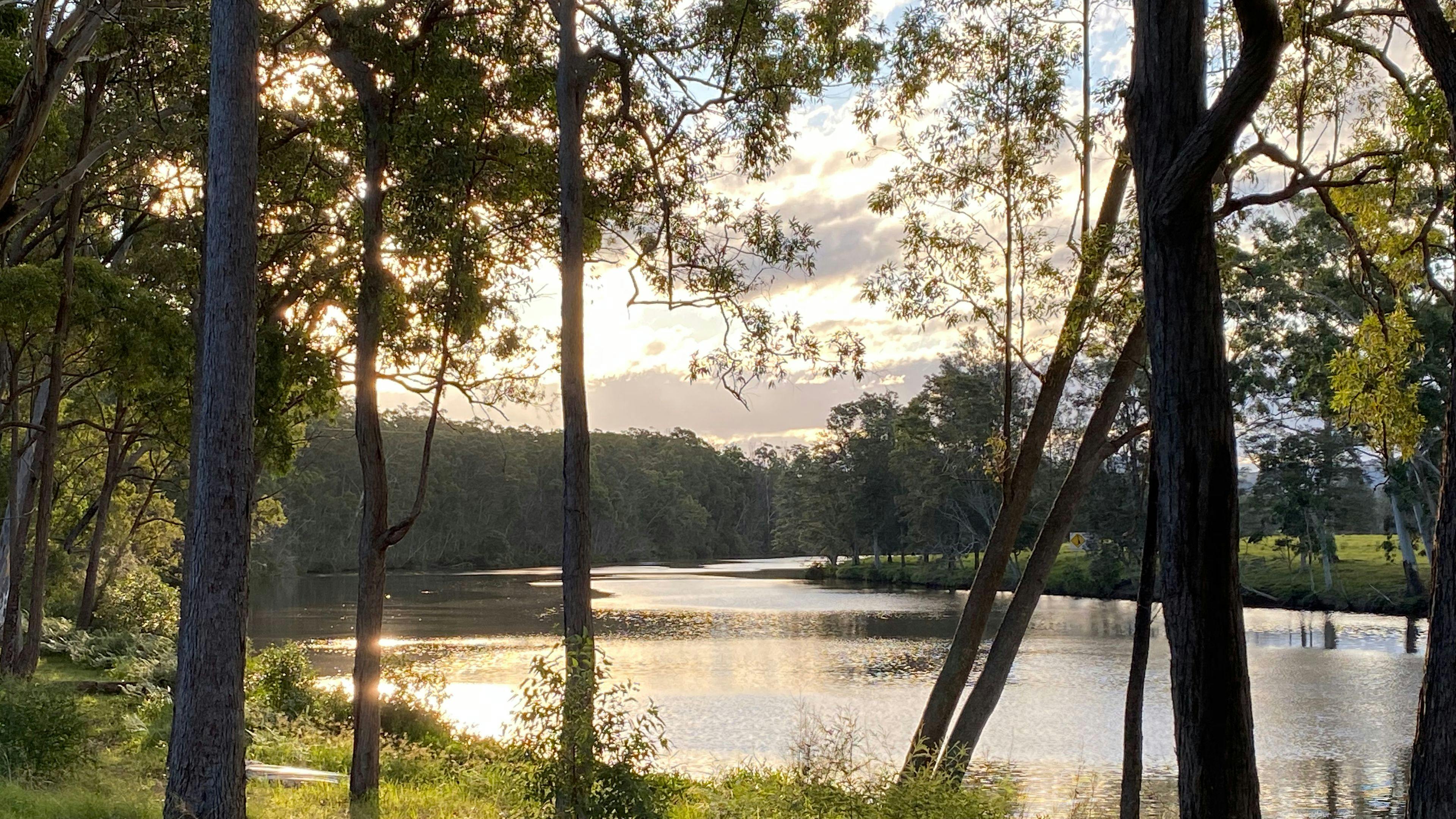 고요한 리버댄스 나비악