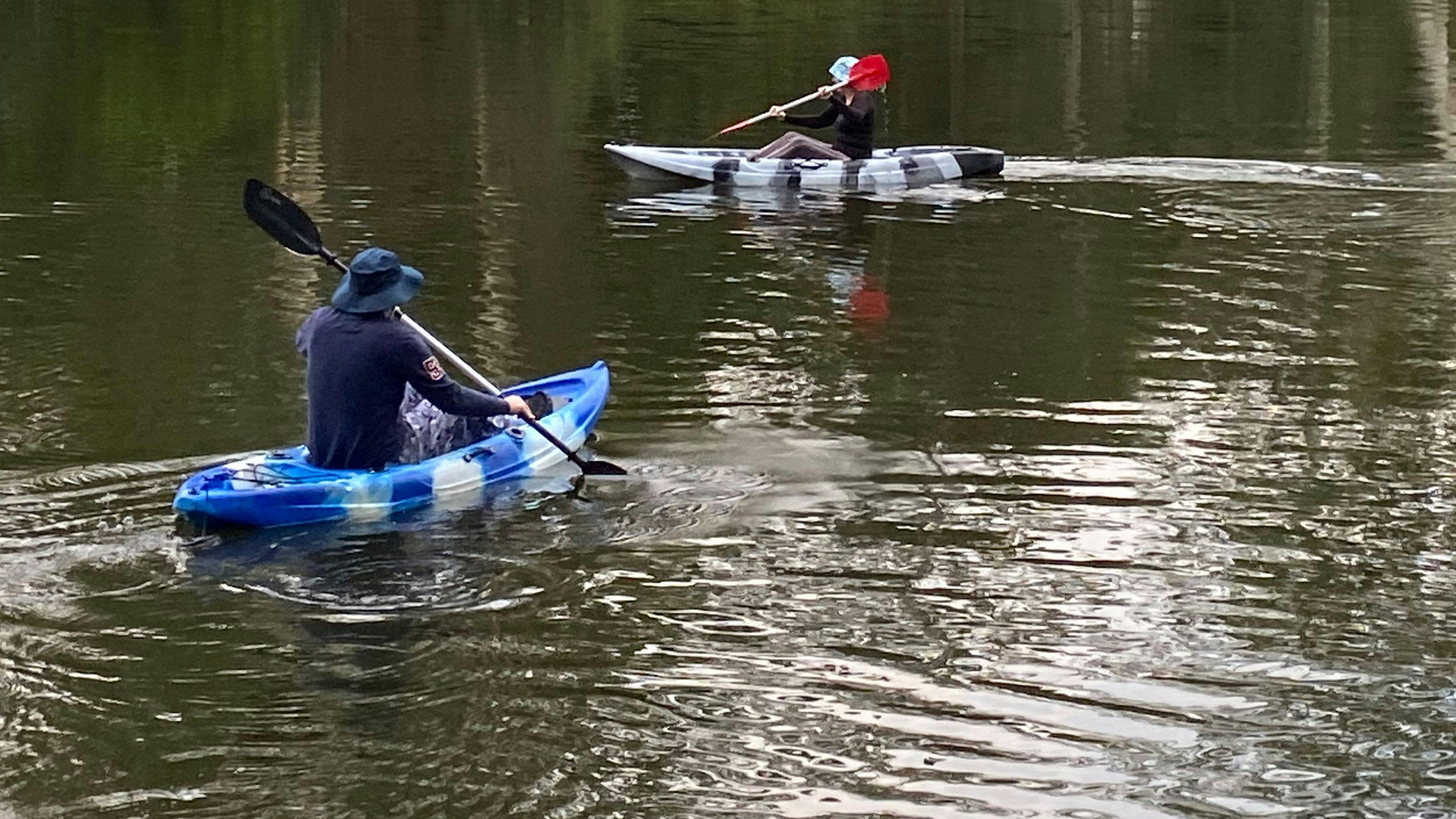 고요한 리버댄스 나비악