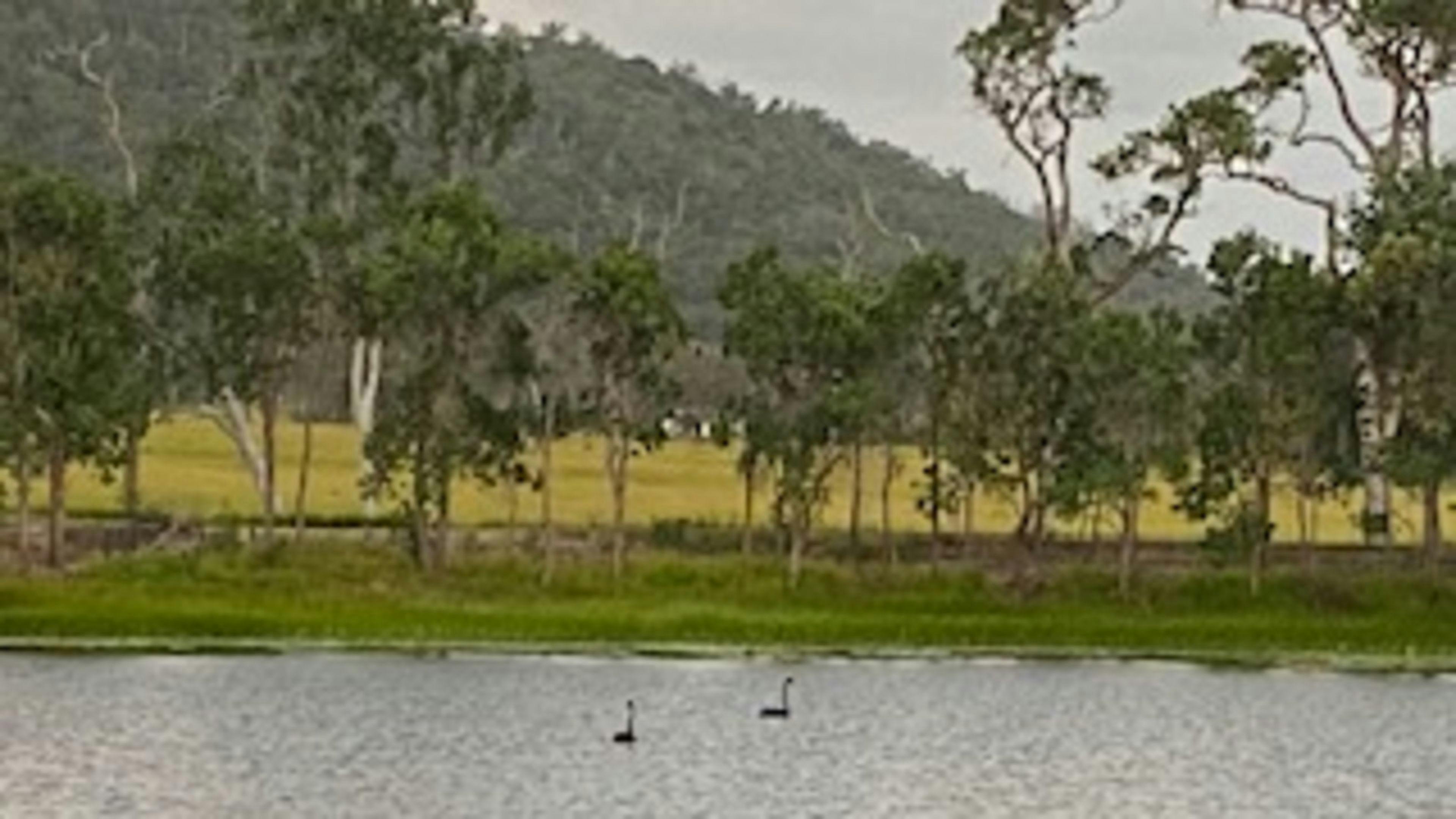 Tranquil View Camp