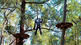 TreeTop Adventure Park