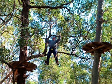 TreeTop Adventure Park
