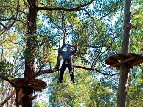 TreeTop Adventure Park