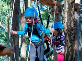 Kids swinging through the trees, TreeTop adventure park, Blue Gum Hills Regional Park. Photo: David Benson