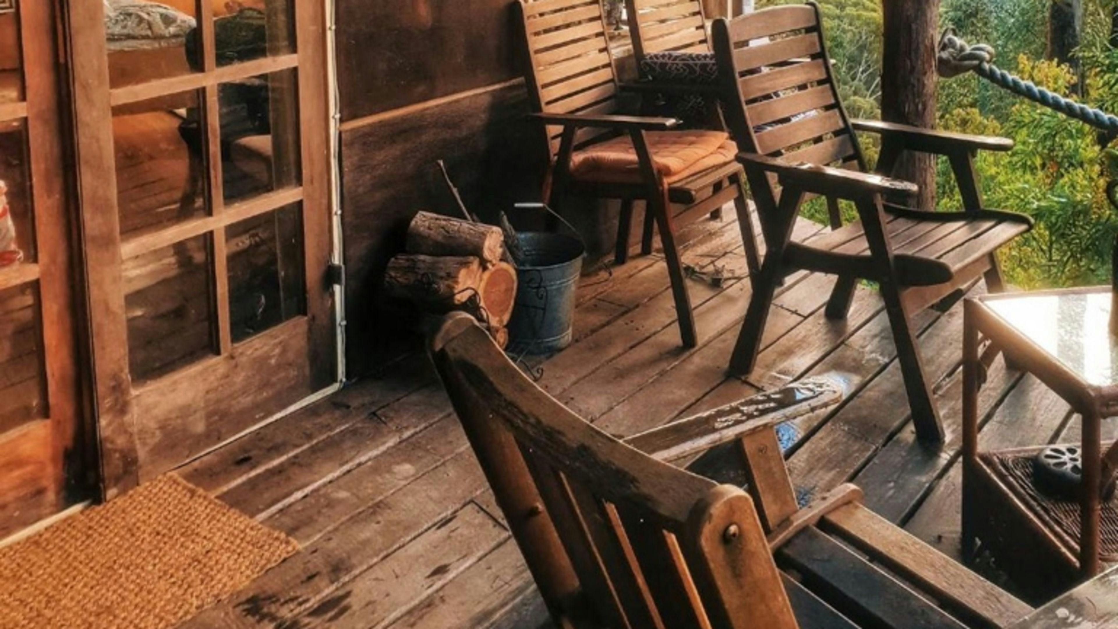 ツリーハウスのツリーポッド