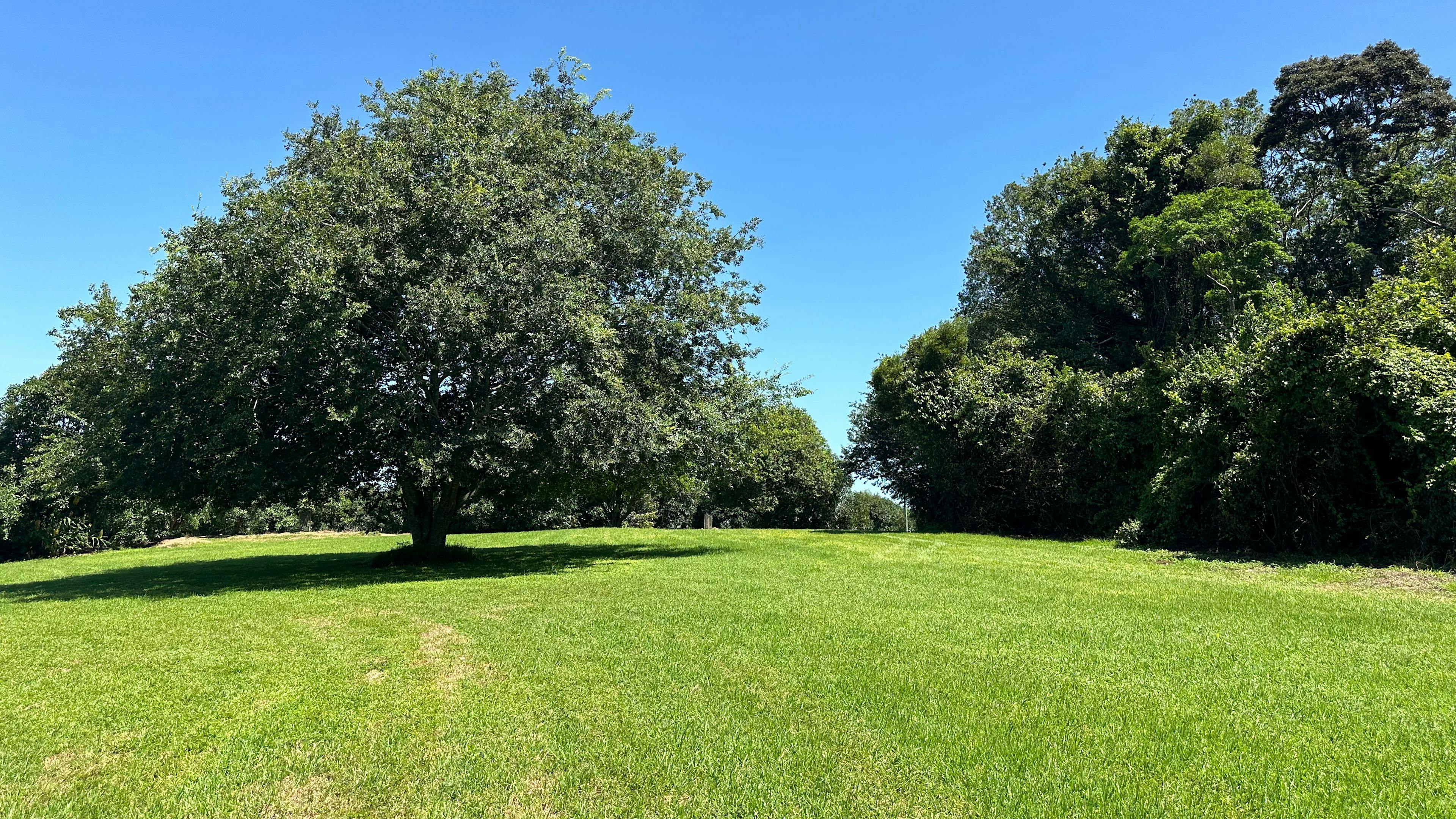 Tremayne - The Old Avocado Farm