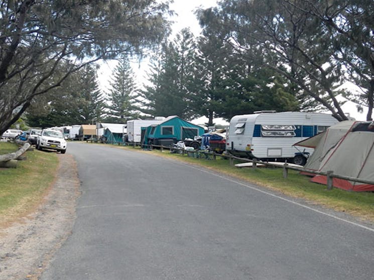 Trail Bay Gaol campground, Arakoon National Park. Photo: Barbara Webster/NSW Government