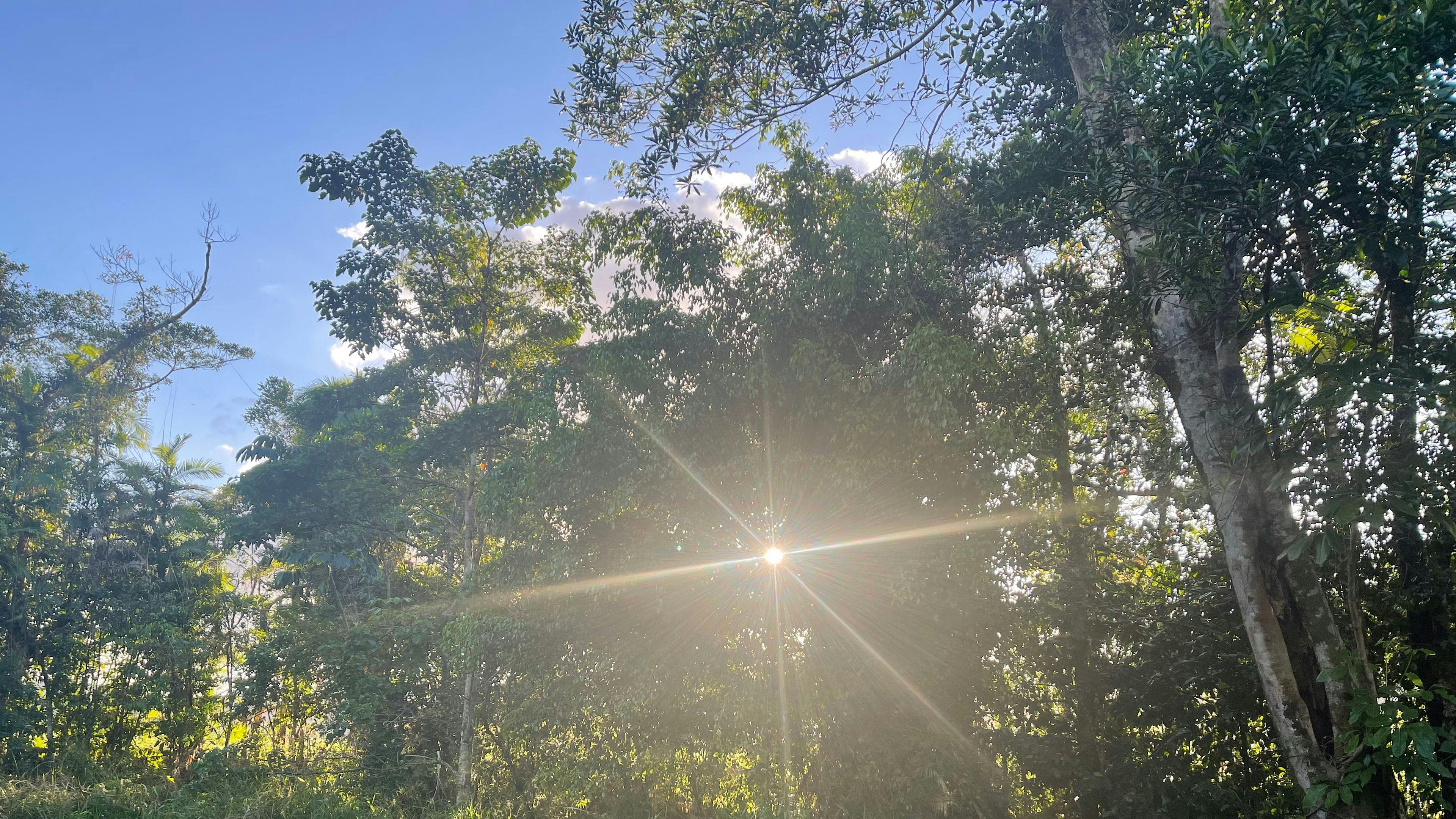 Tropical Woopen Creek Camping