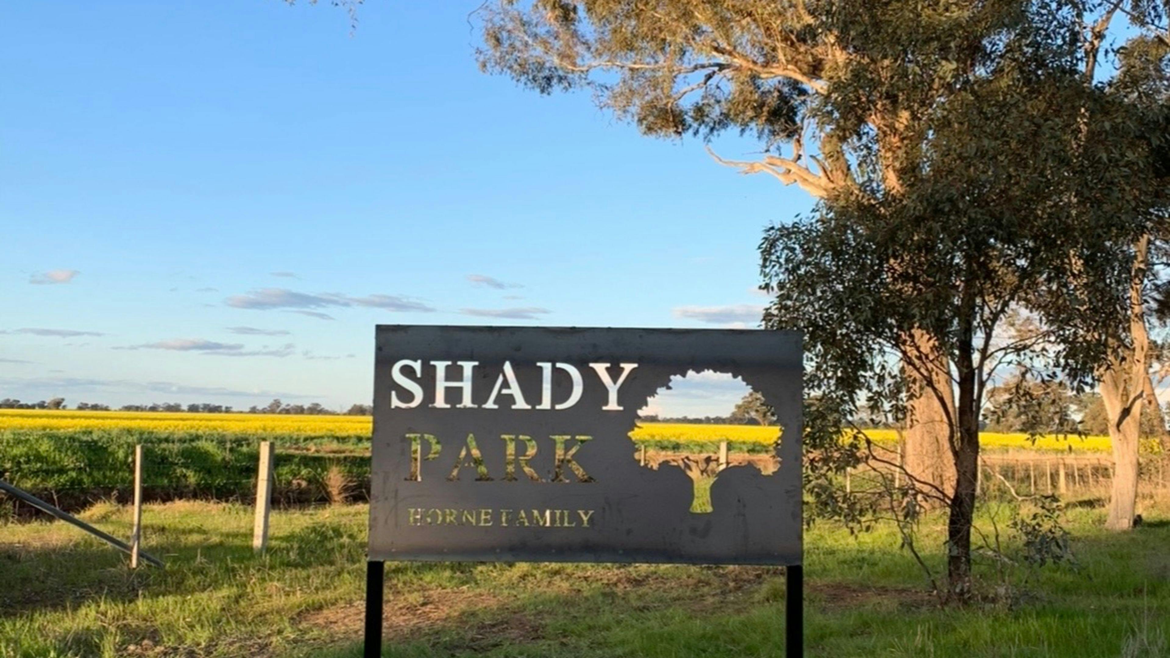 Shady Park