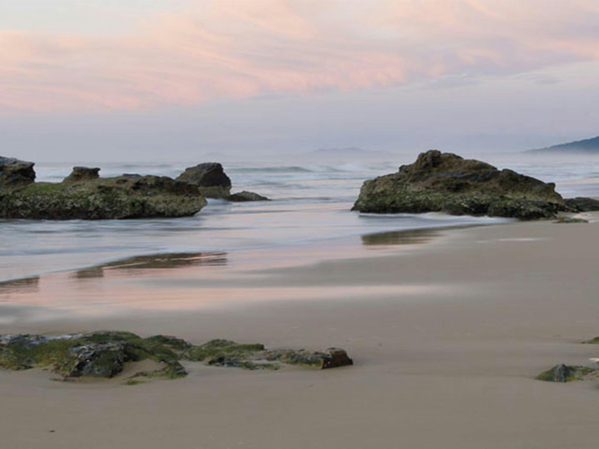 Tuckers Rocks, Bongil Bongil National Park. Photo: Michael van Ewijk &copy; DPIE