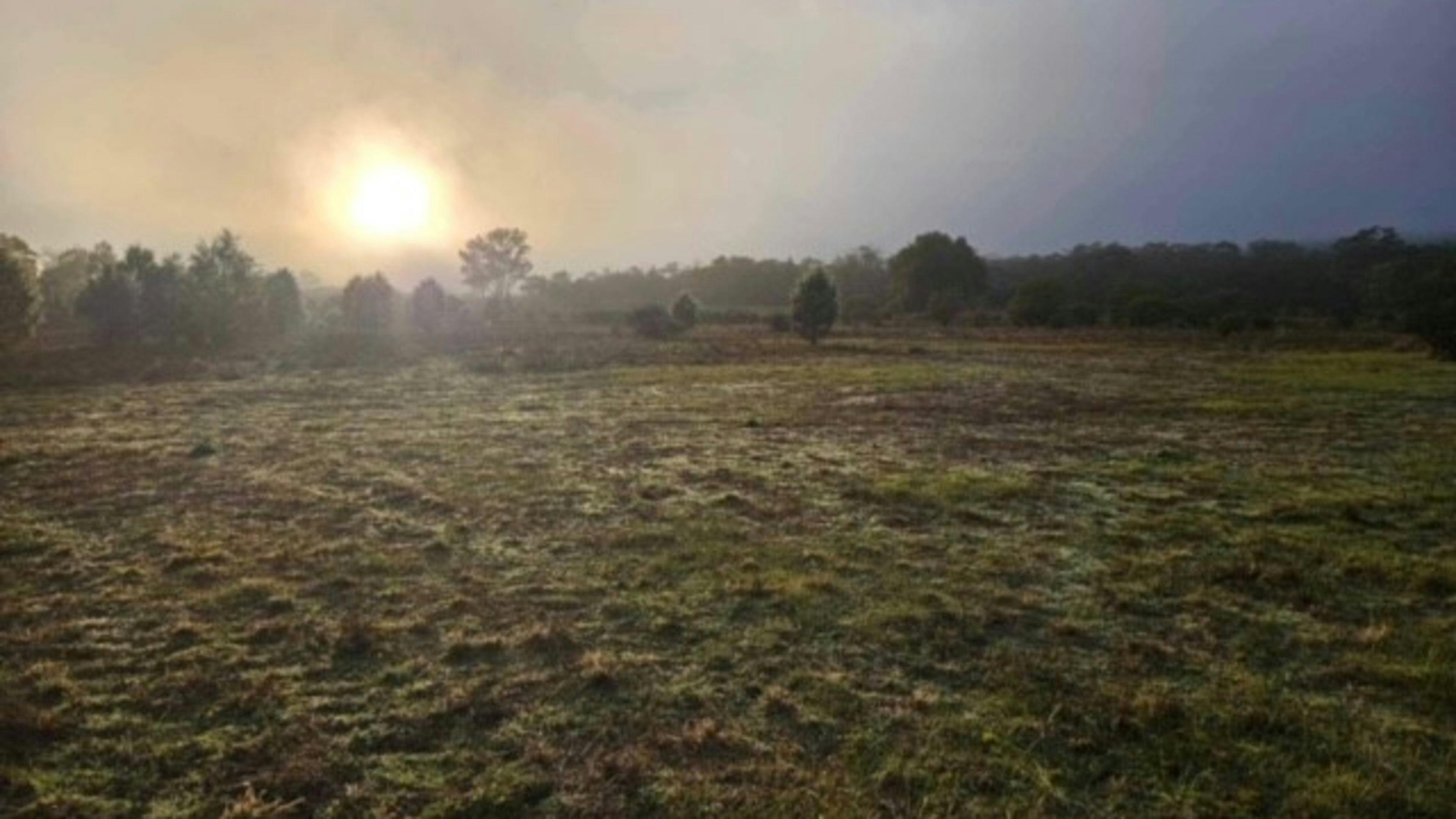 Frosty mornings out at Tulley's Corner