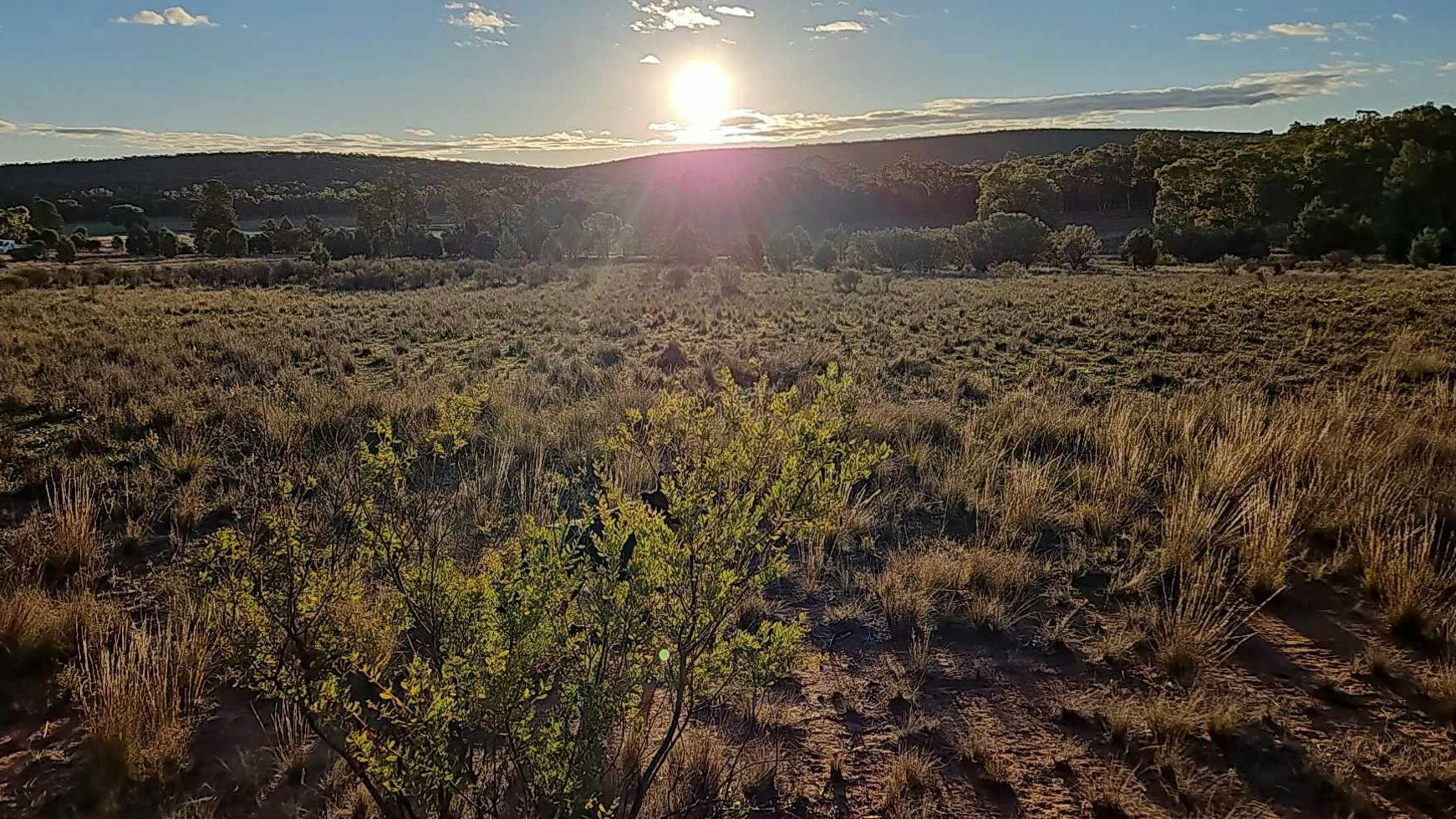 Good Morning from Tulley's Corner!