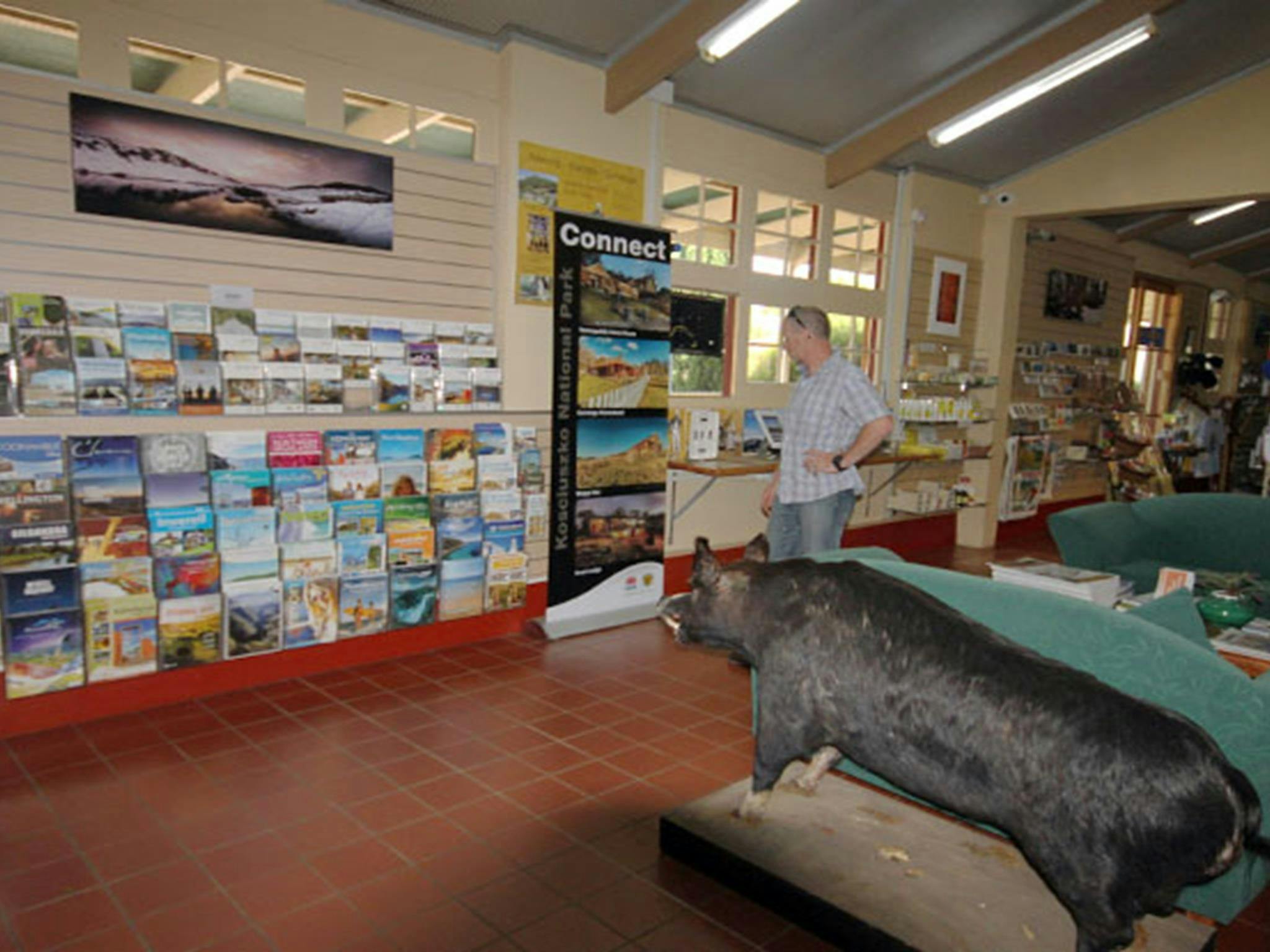 Inside the Tumut Visitor Centre, near northern Kosciuszko National Park. Photo: Elinor Sheargold